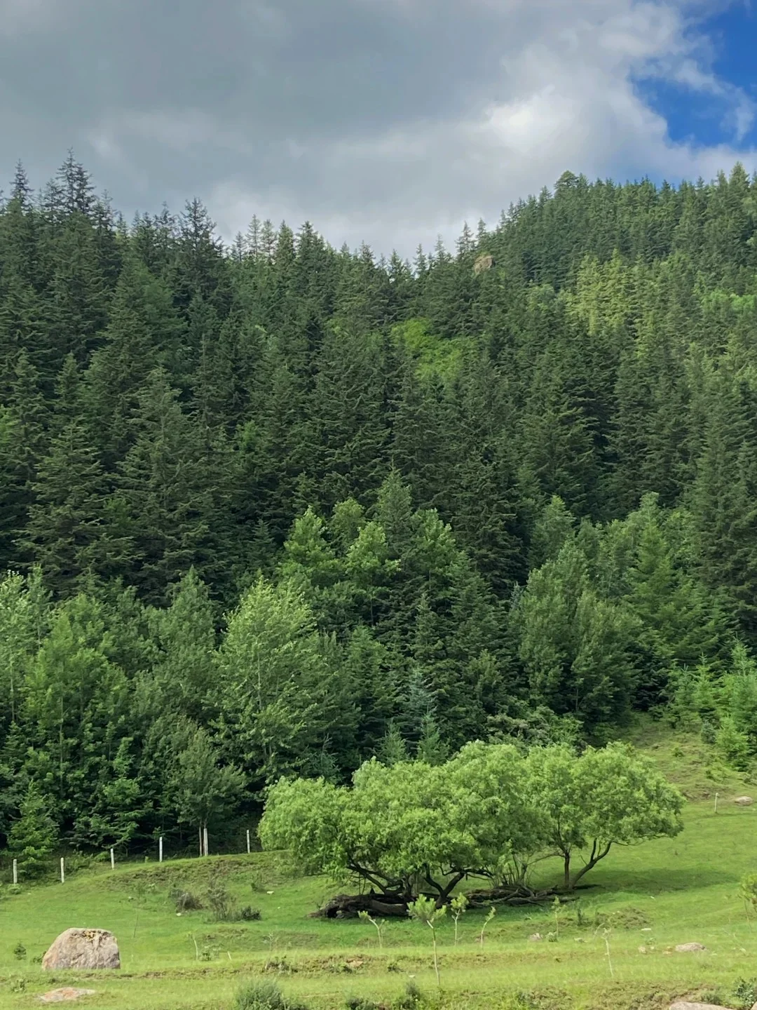 夏天的山西，是一个巨大的空调房