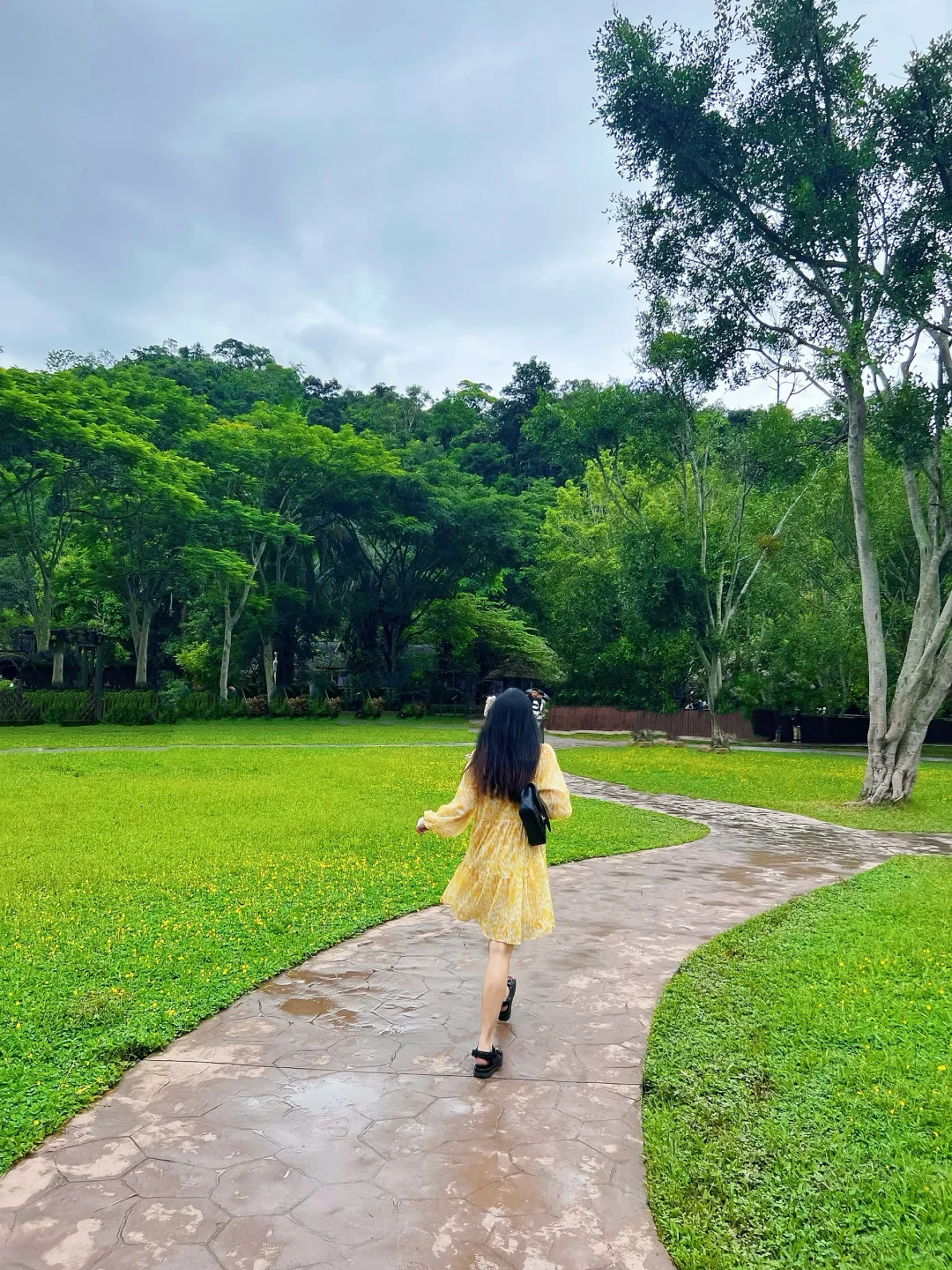 🐘西双版纳野象谷 | 看这一篇就够啦