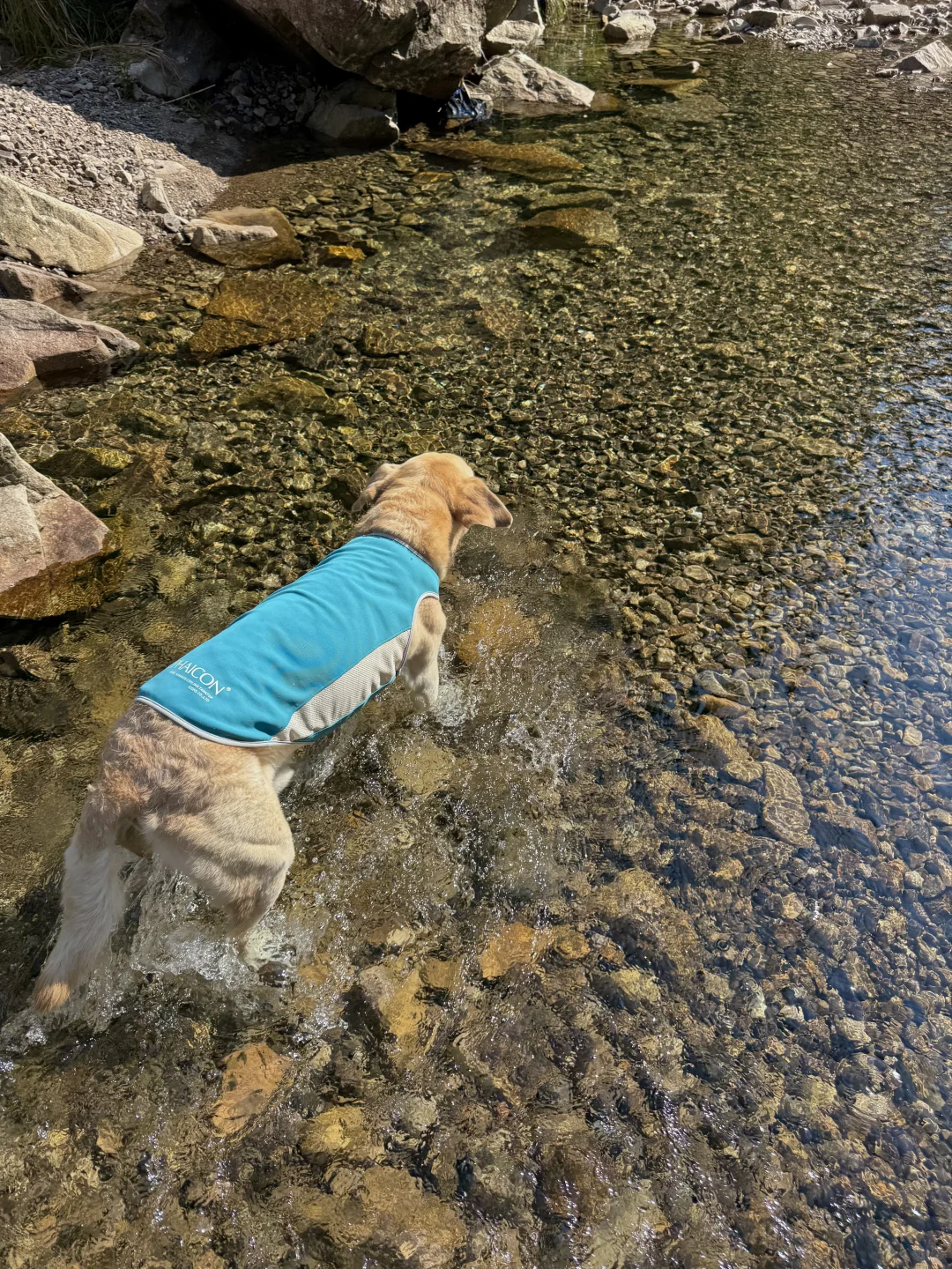 根本无法拒绝这么清透的玻璃水🥰