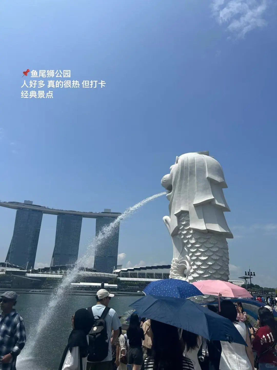 05大三🇸🇬也没人和我说新加坡这么好玩啊‼️