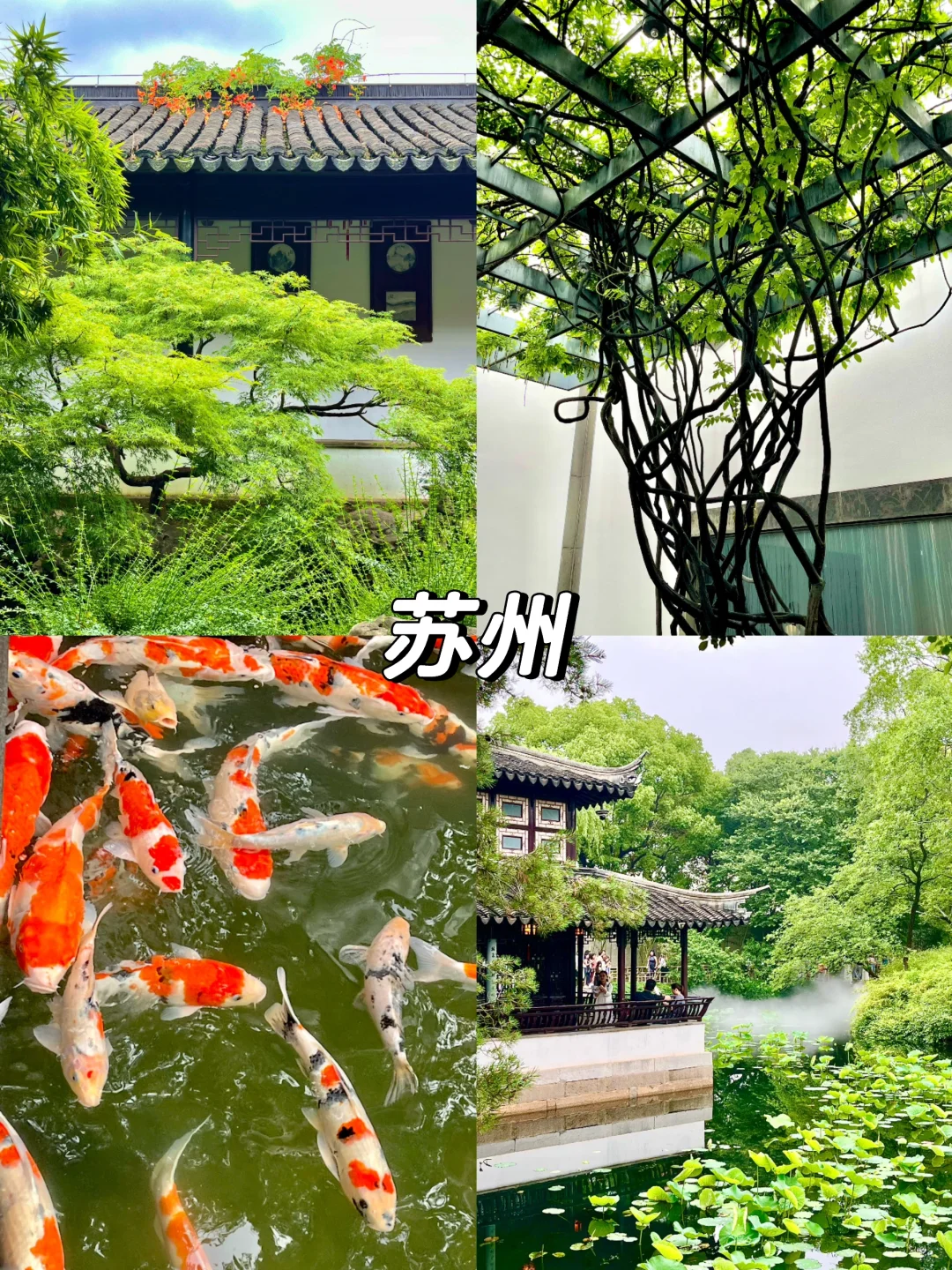 人均💰500｜🍃暑期旅游这些地方我会刷N次！