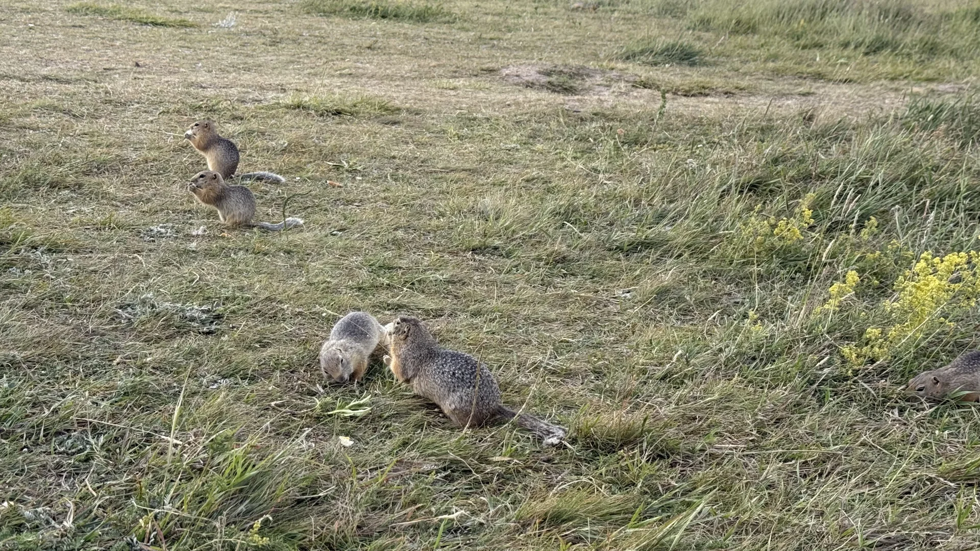 赛里木湖真的要成为我这一生的执念了