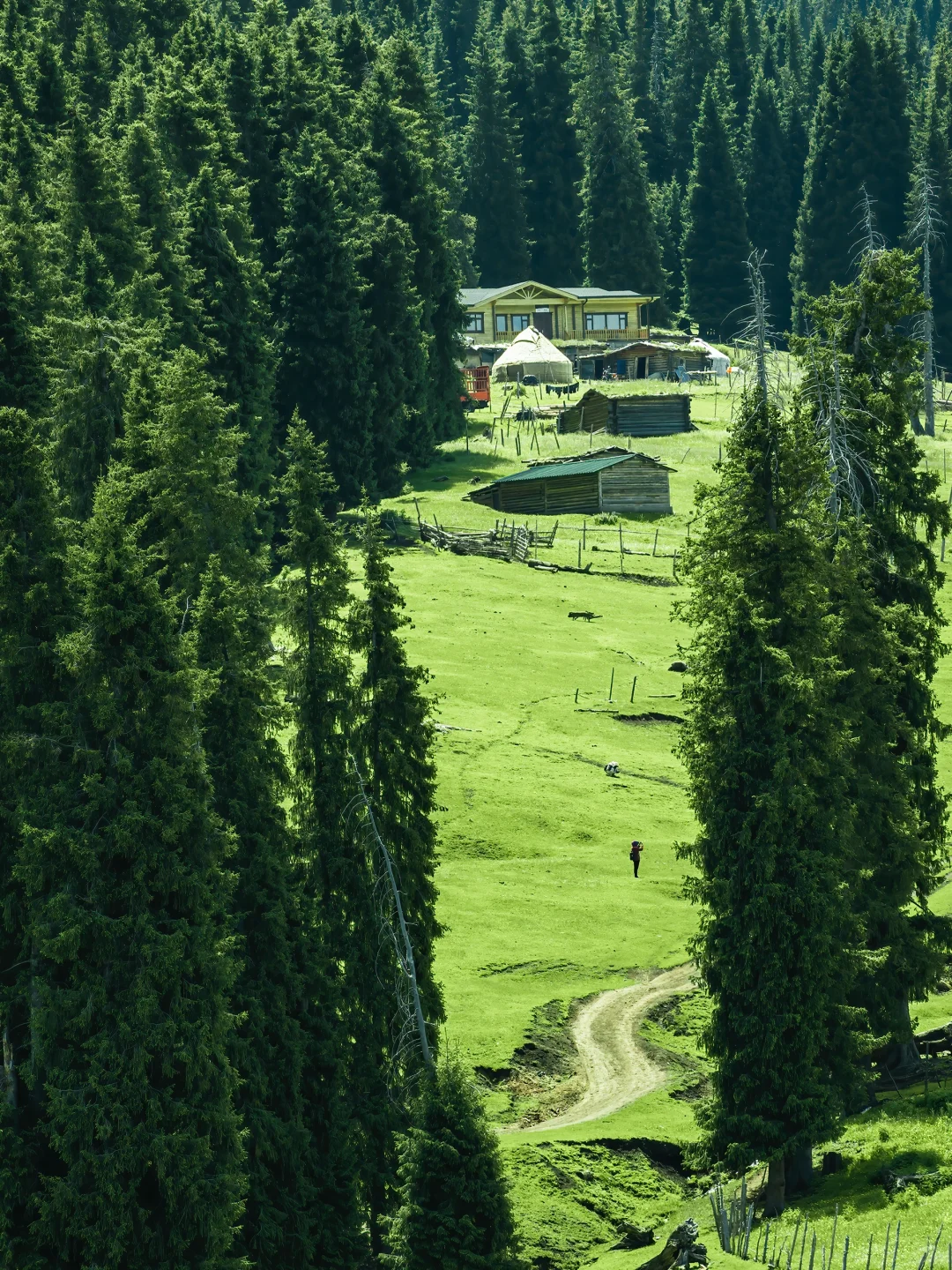 很多人喜欢的新疆组图🍃详细旅行攻略来了