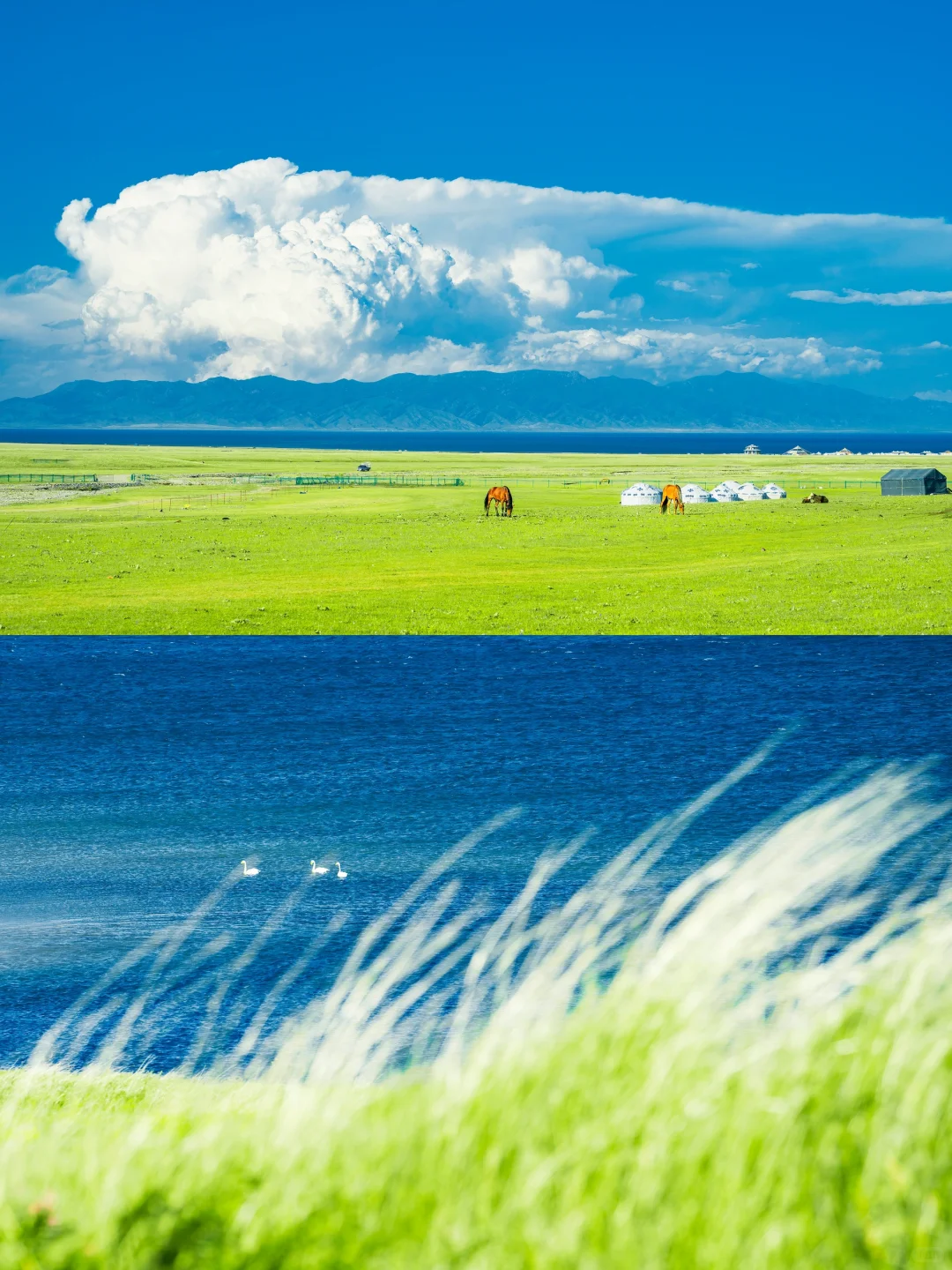 很多人喜欢的新疆组图🍃详细旅行攻略来了