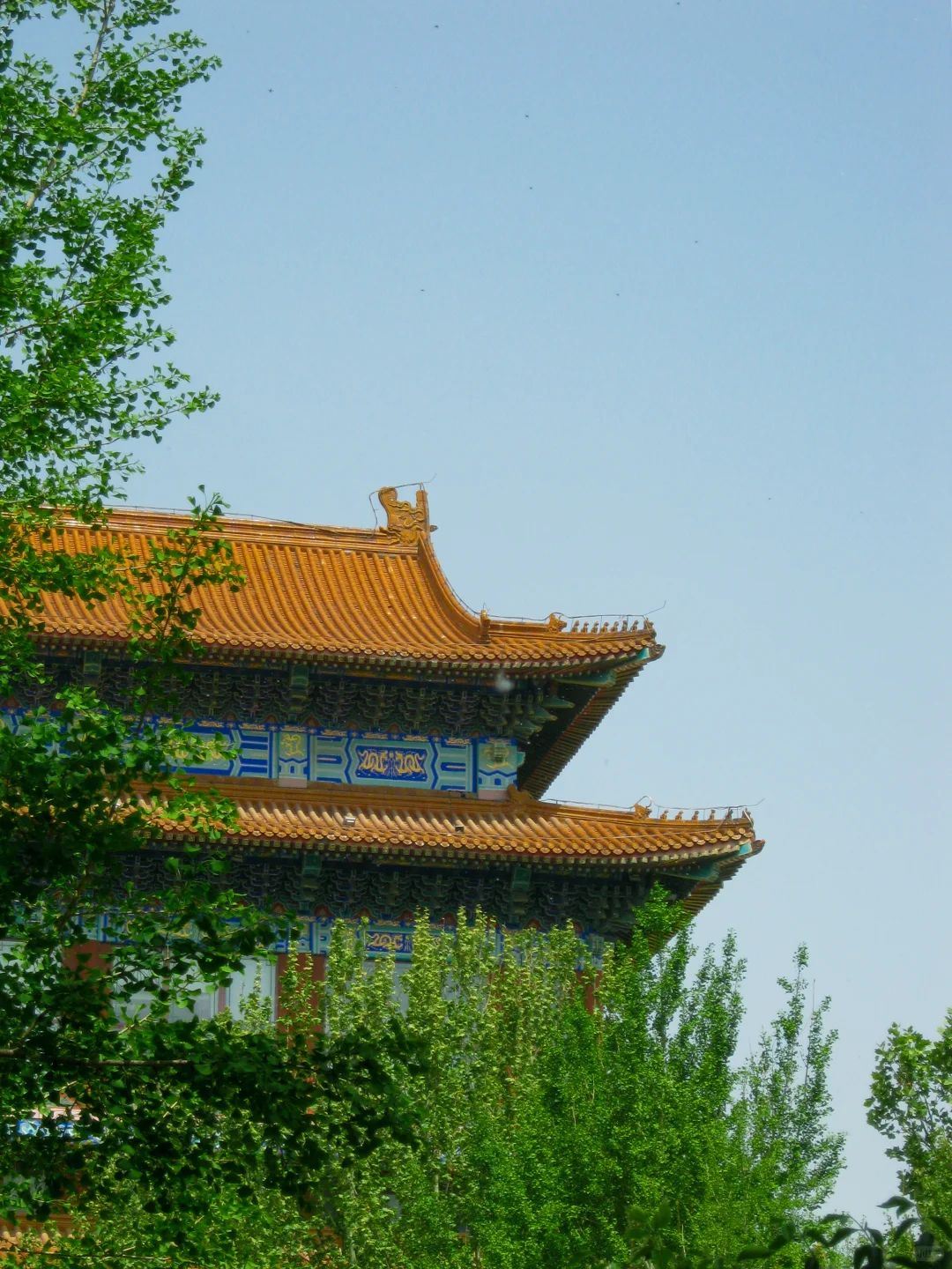 这不是北京 也不是沈阳