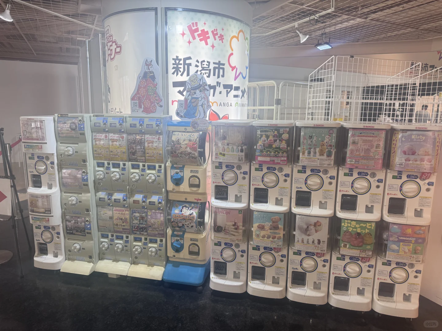 7.24爱达魔都号🚢--Day5新潟citywalk