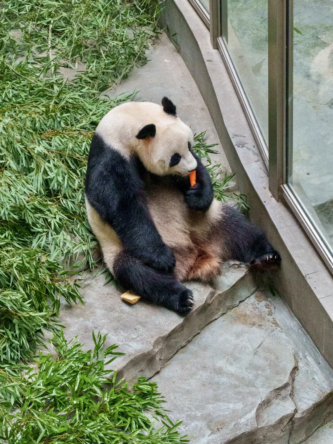 599玩转天目湖！三园畅玩 + 住宿太值了