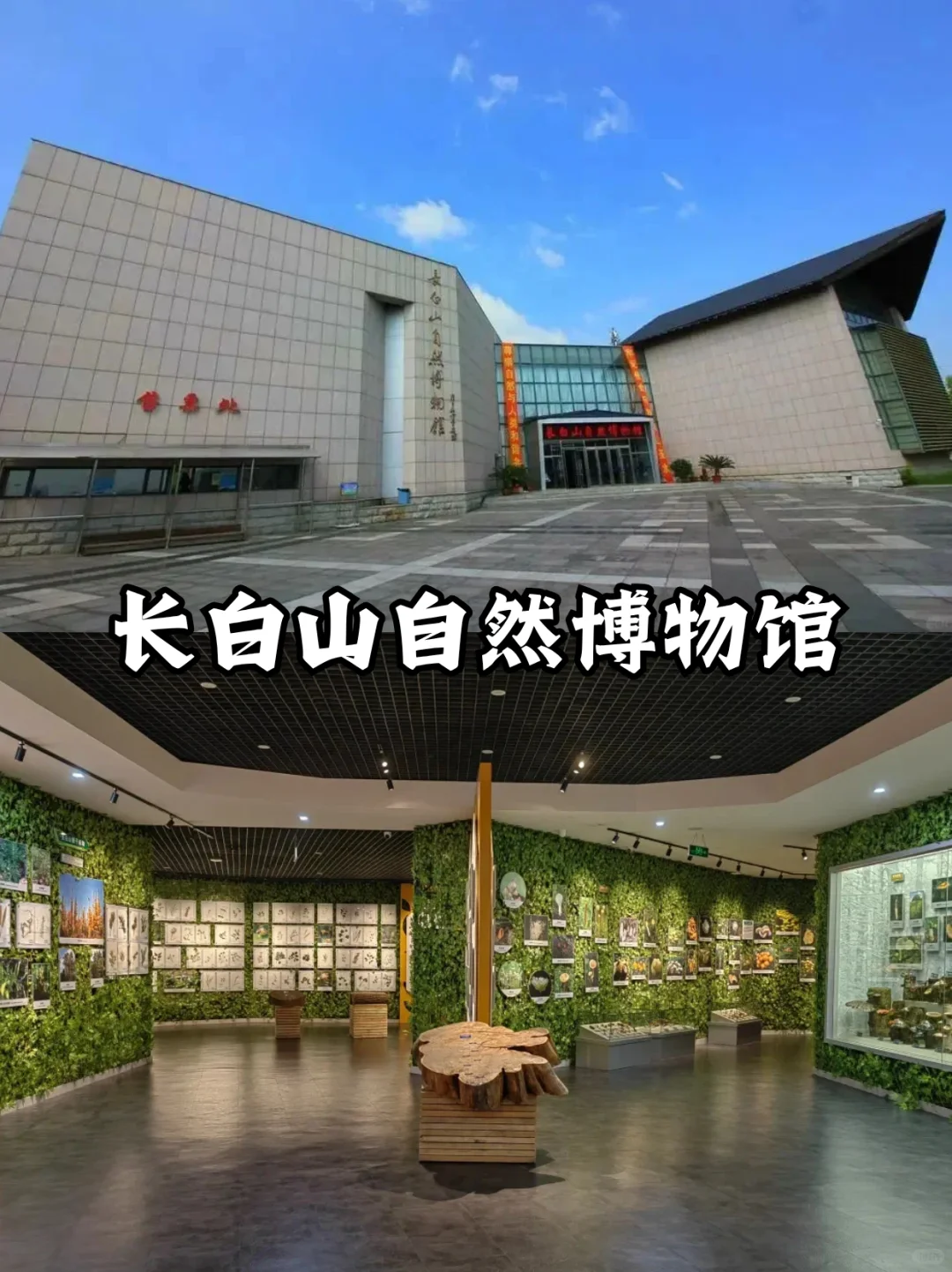 长白山二道白河镇游玩攻略！第一次来必看