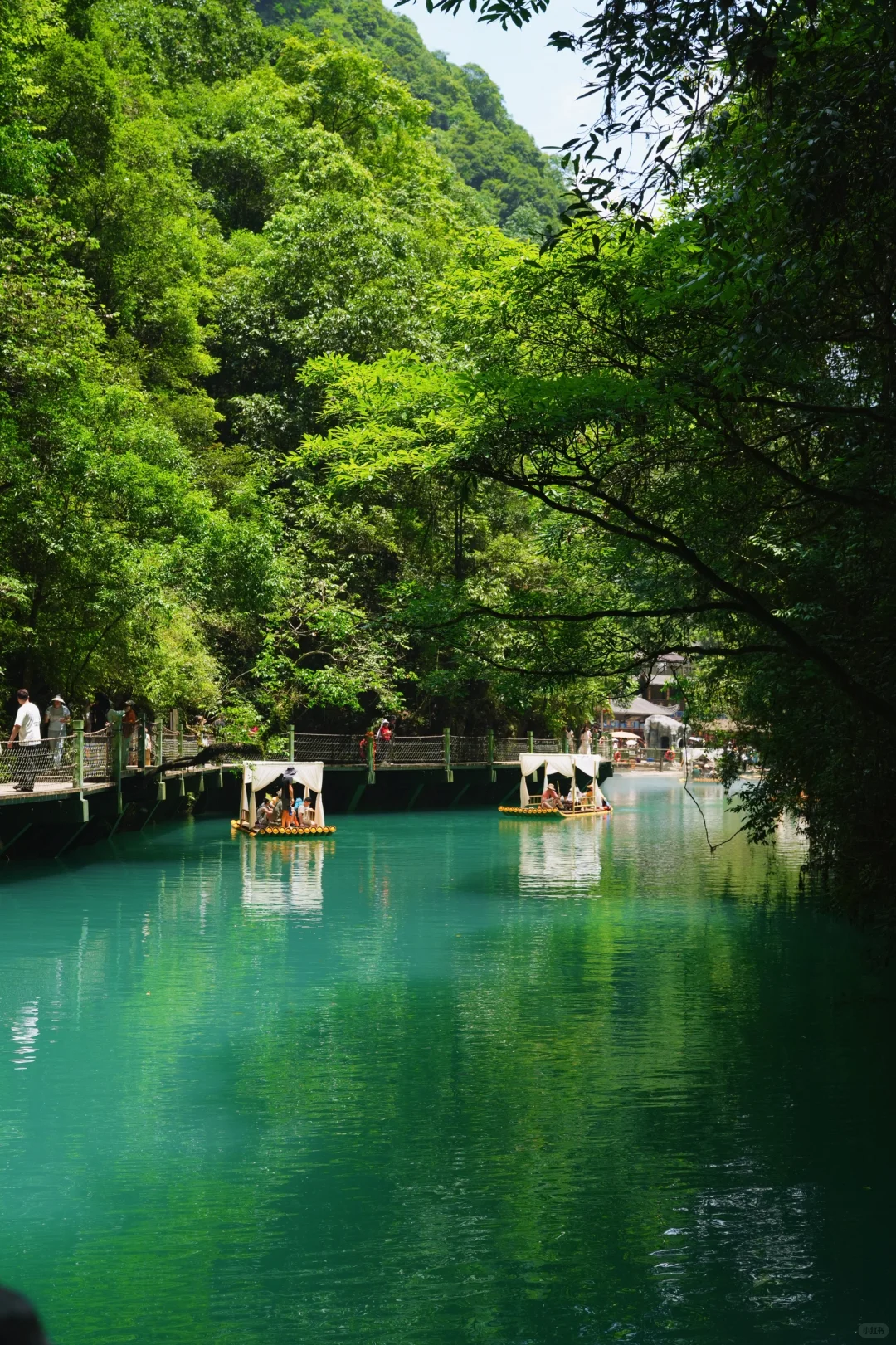 恩施很美,但是我不会再去了🫠