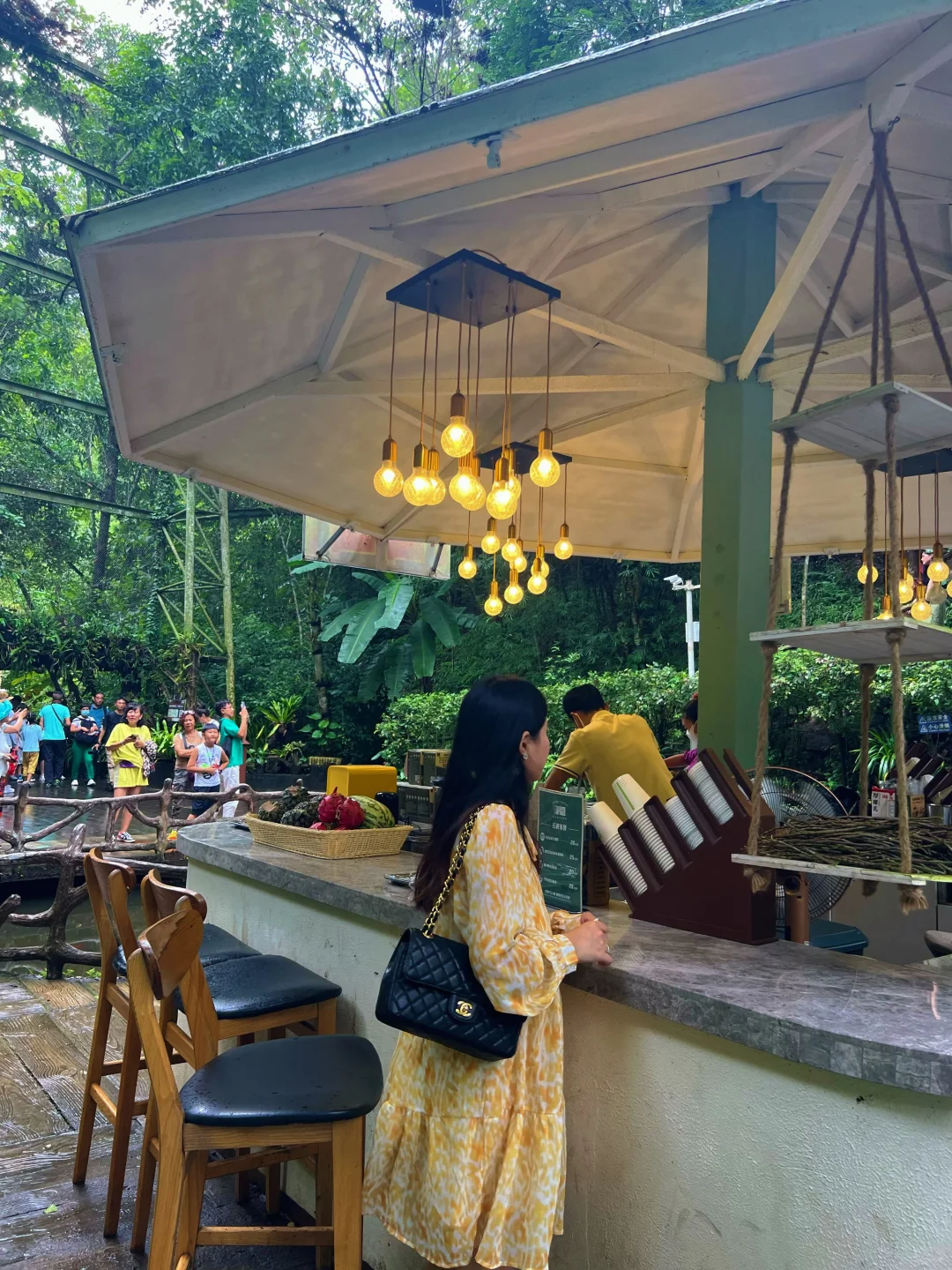 🐘西双版纳野象谷 | 看这一篇就够啦