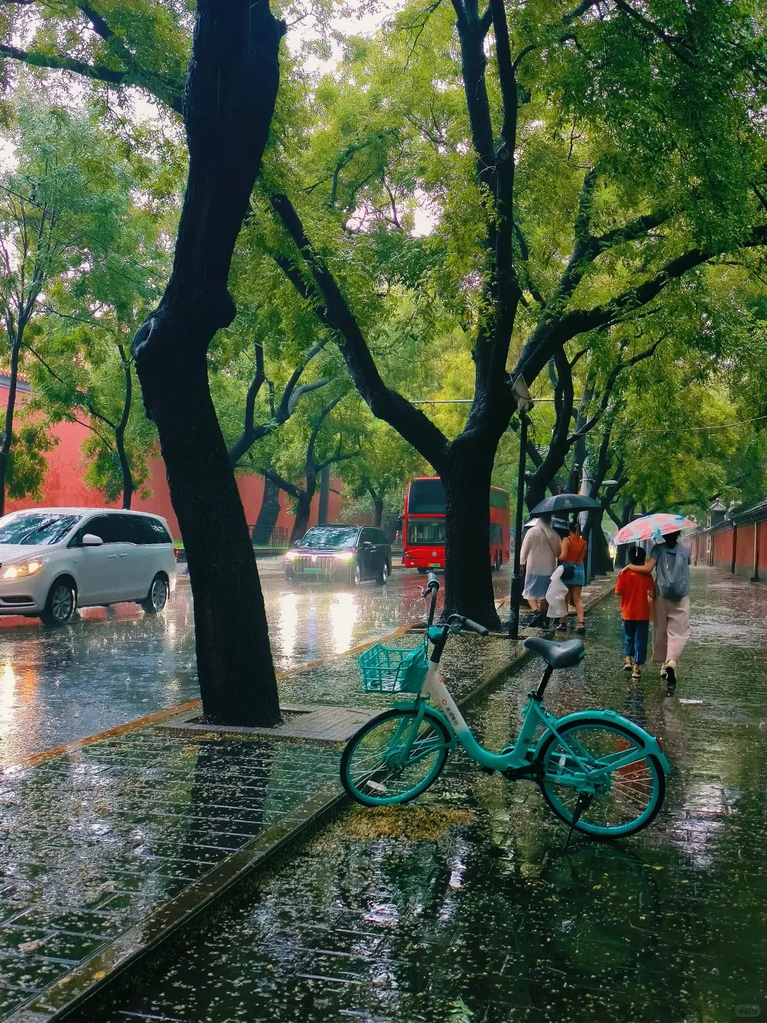 北京暴雨红色预警！景区全关？我还能干什么