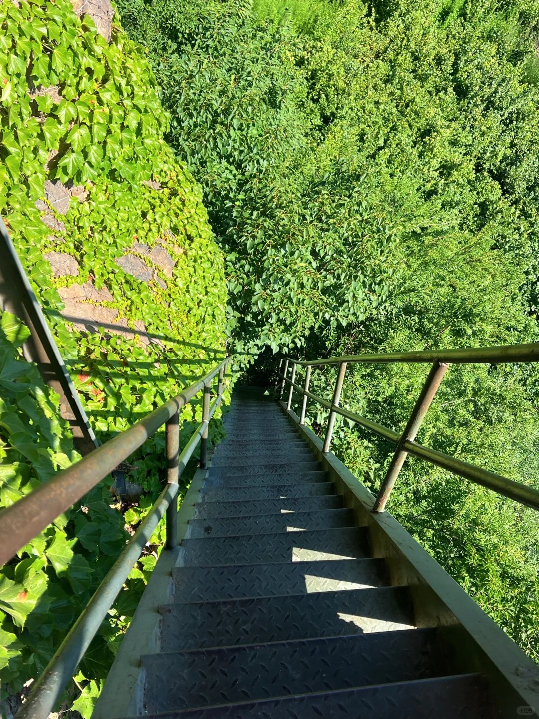 挂壁栈道———人参谷，感觉是要准备收费的节奏