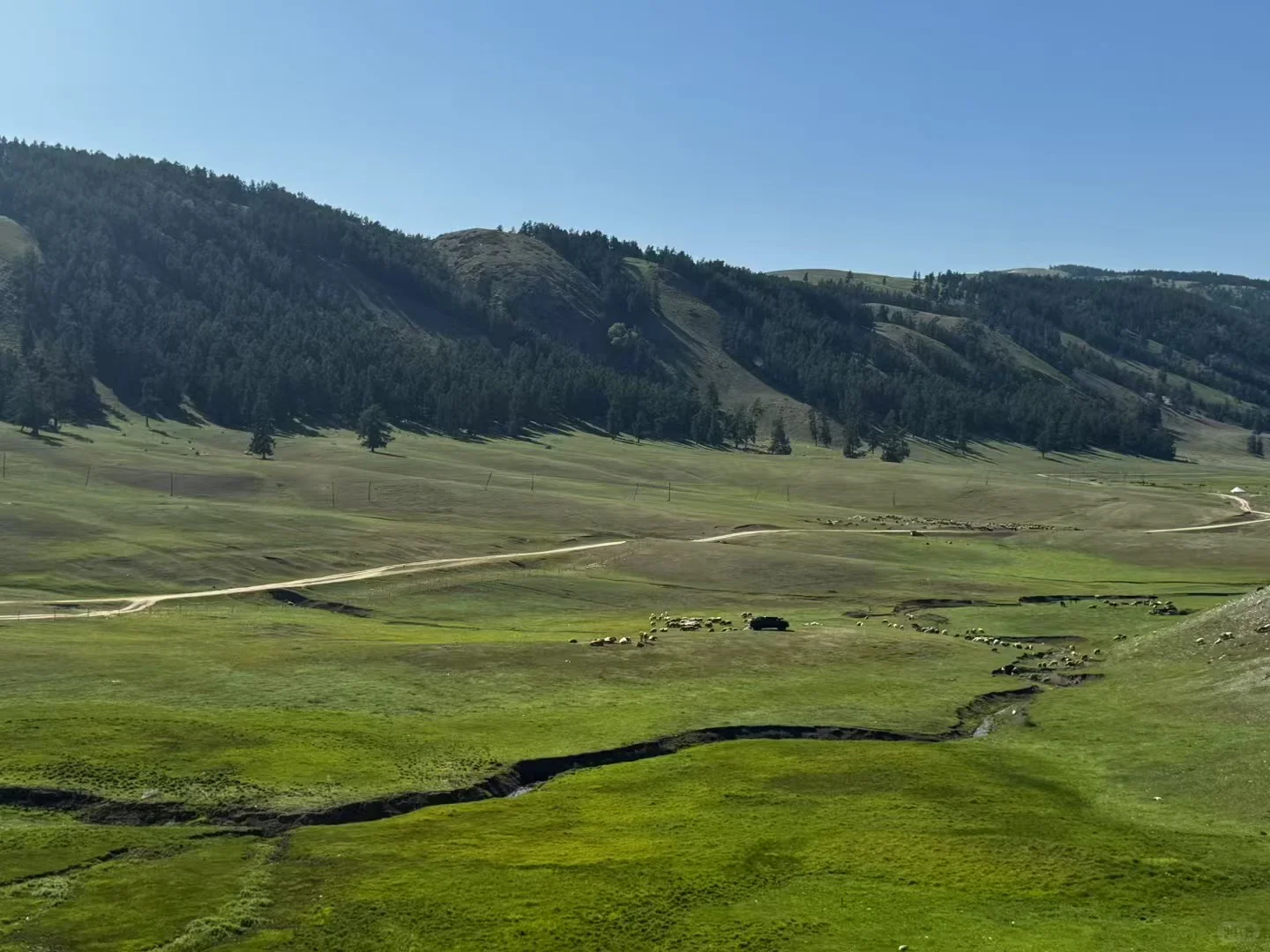 🚗新疆北疆环线10天自驾攻略 |阿勒泰-伊犁