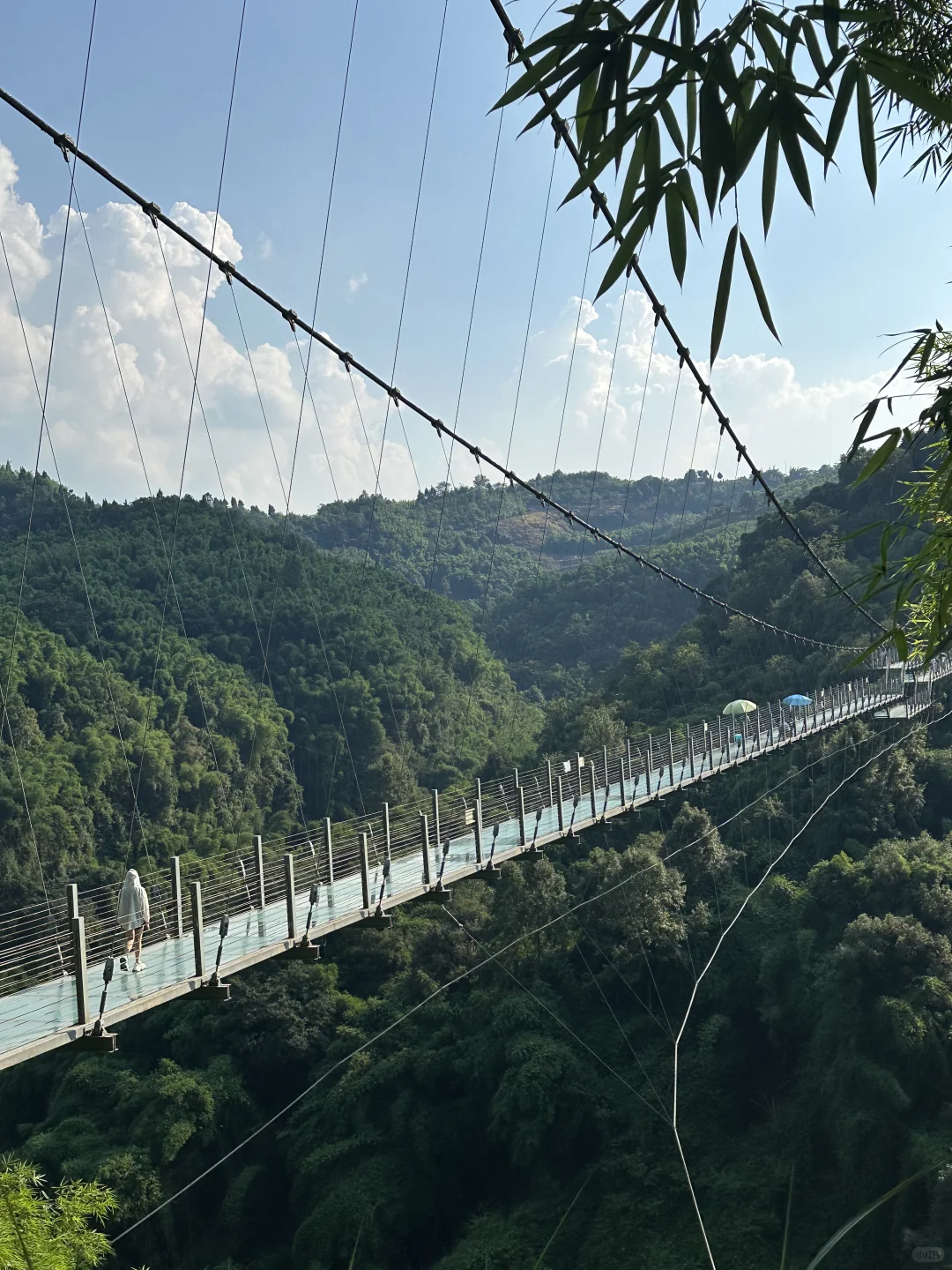 💨成都1h，带狗撒欢玩水的竹海秘境！