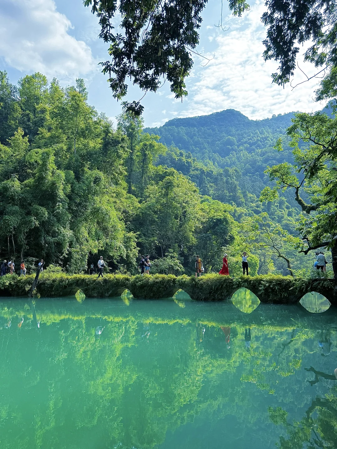 荔波小七孔live🍃人间绿宝石名不虚传