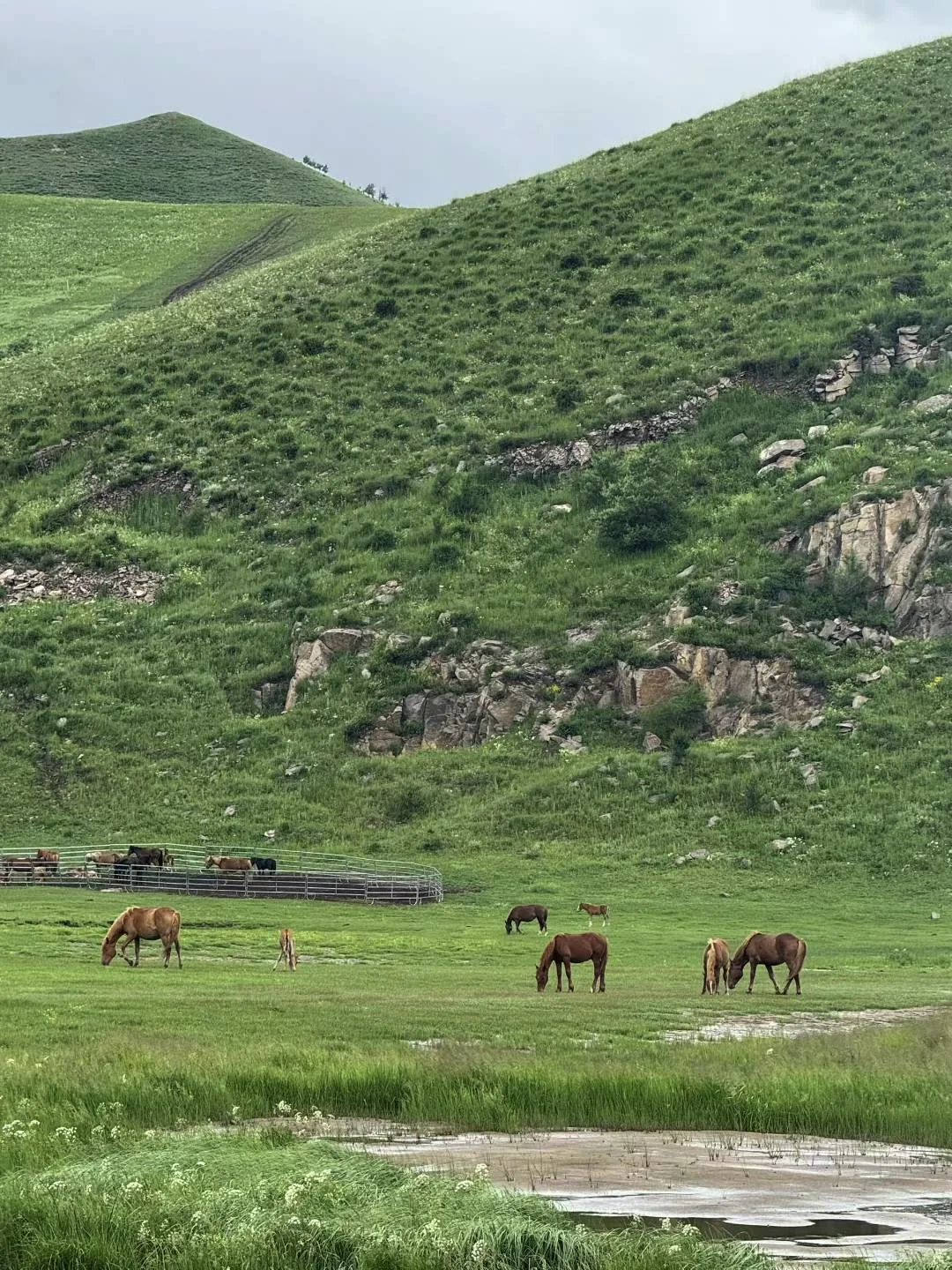 丰宁坝上草原，2天1晚行程以及免费景点分享