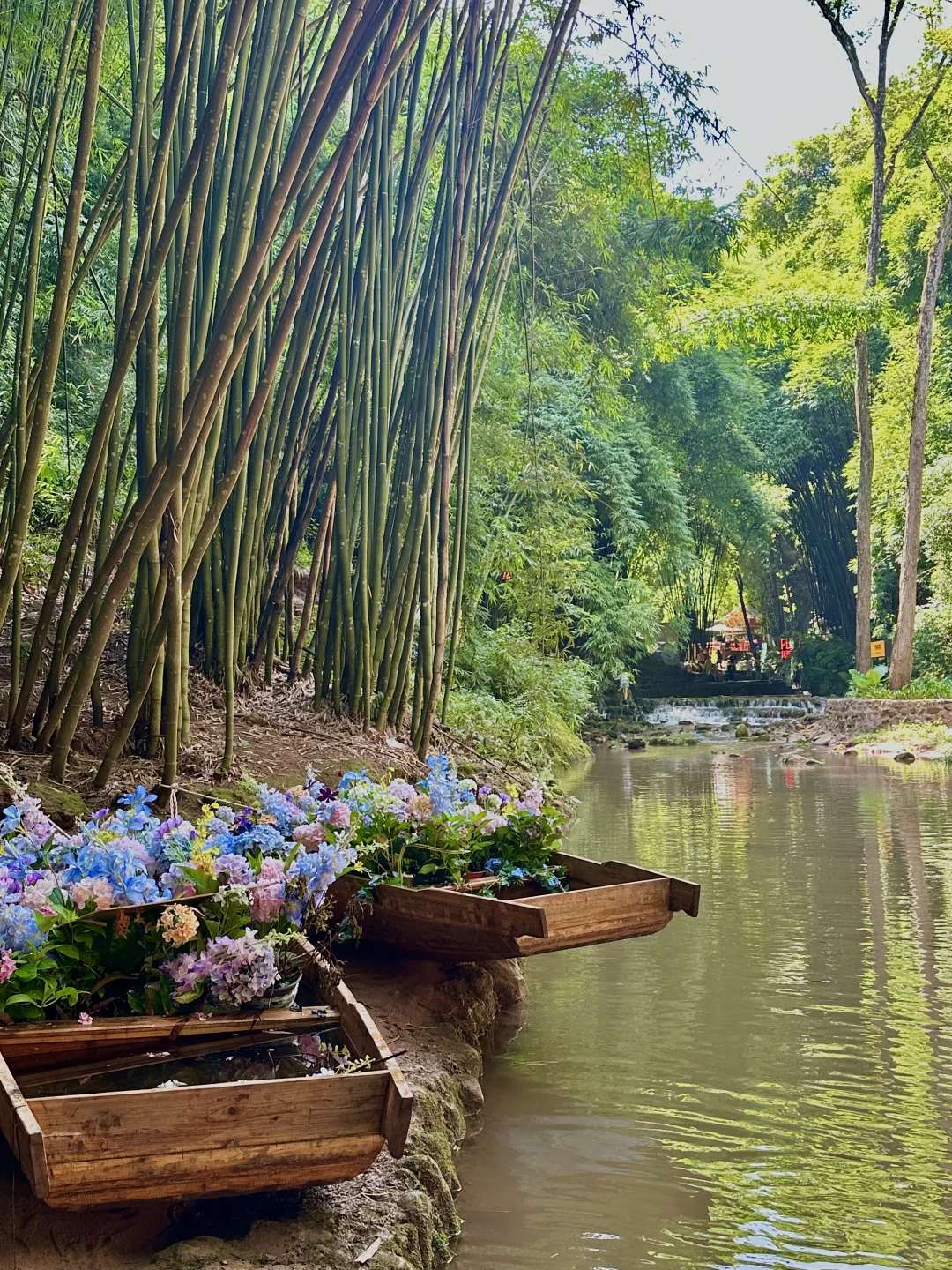 💨成都1h，带狗撒欢玩水的竹海秘境！