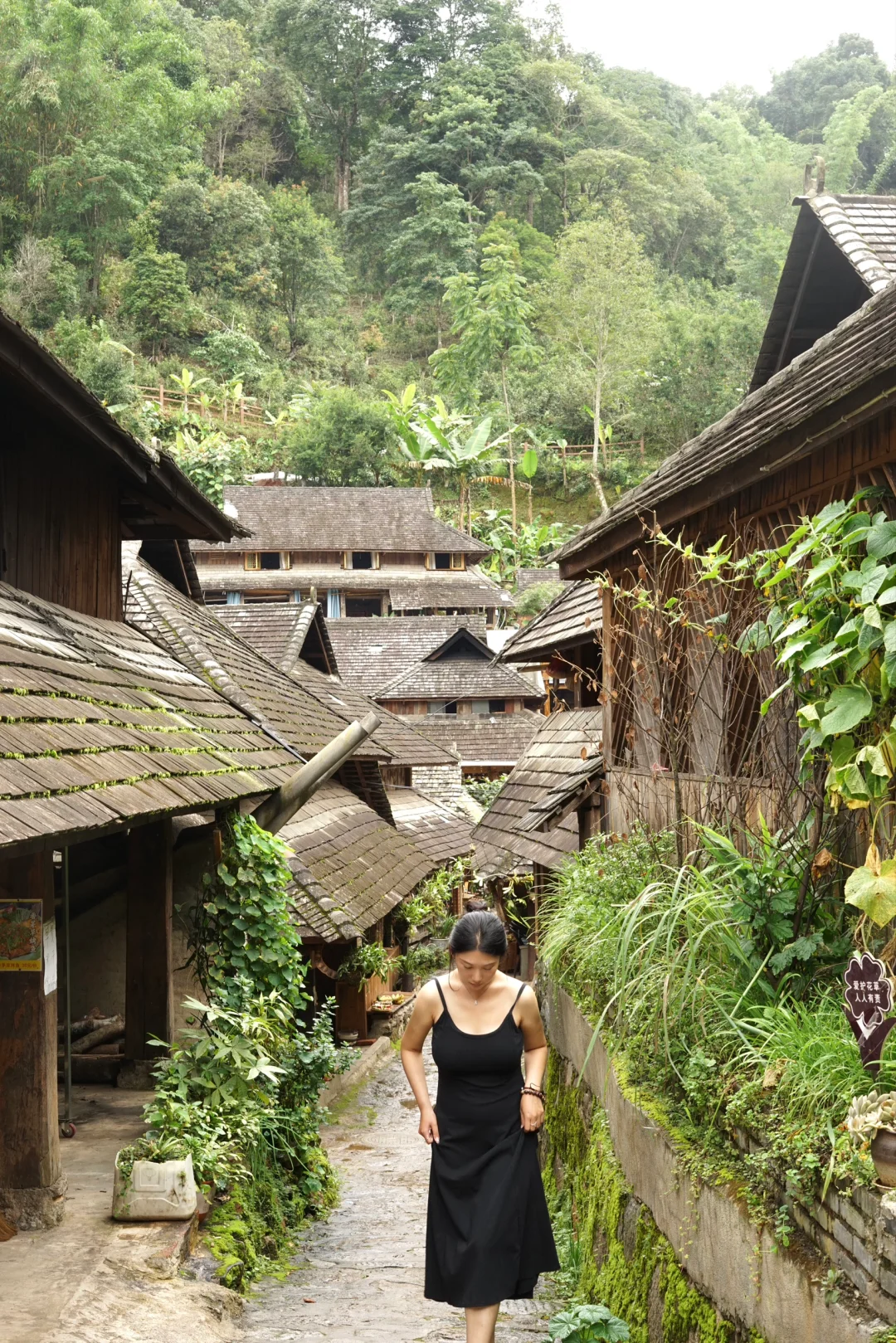 旅行|景迈山|被森林环绕的乌托邦
