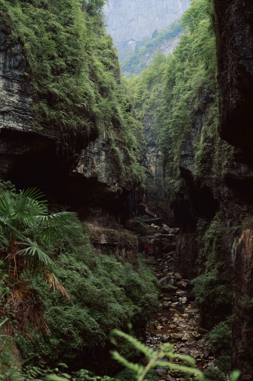恩施很美,但是我不会再去了🫠