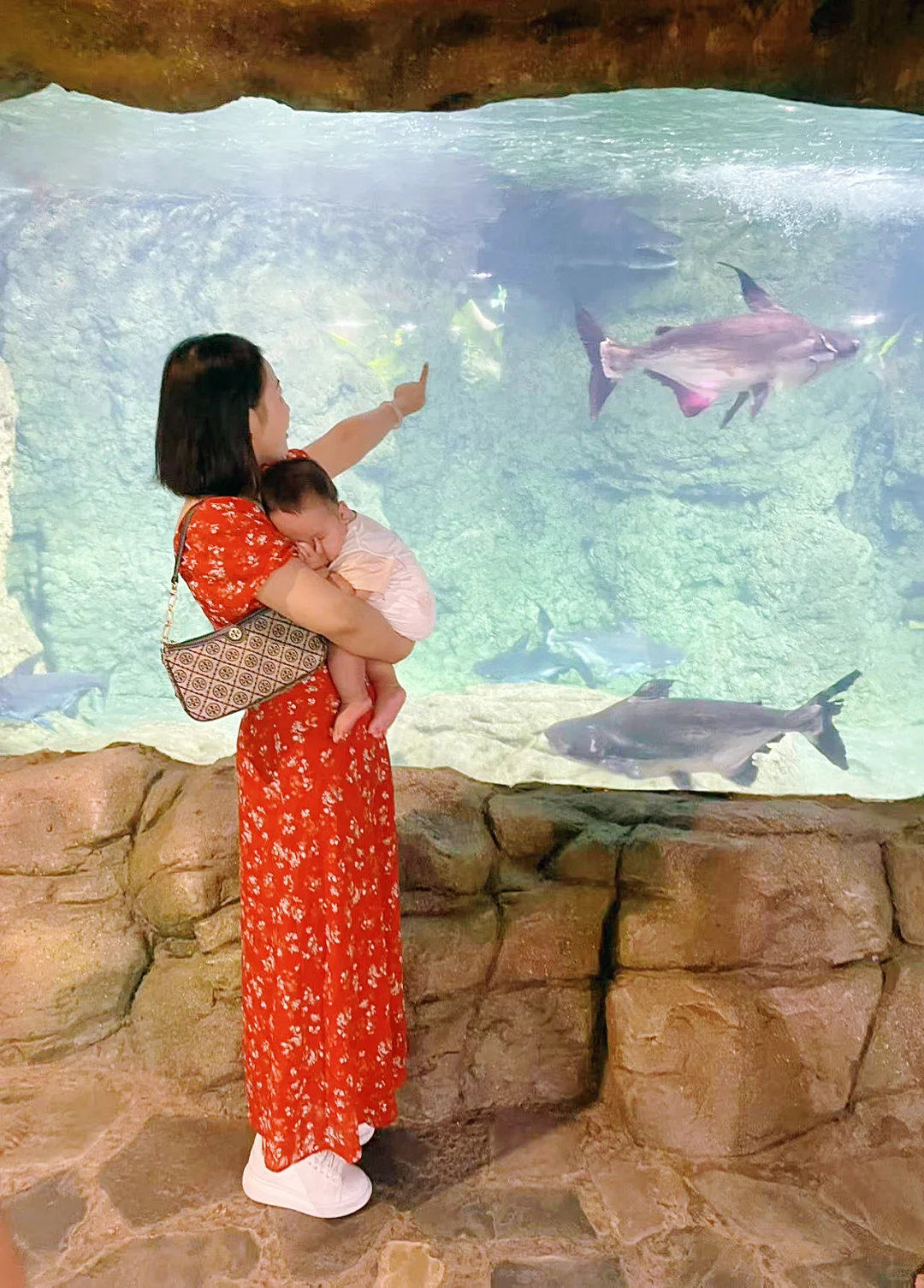 带娃旅游| 又点亮了一个城市🏙️