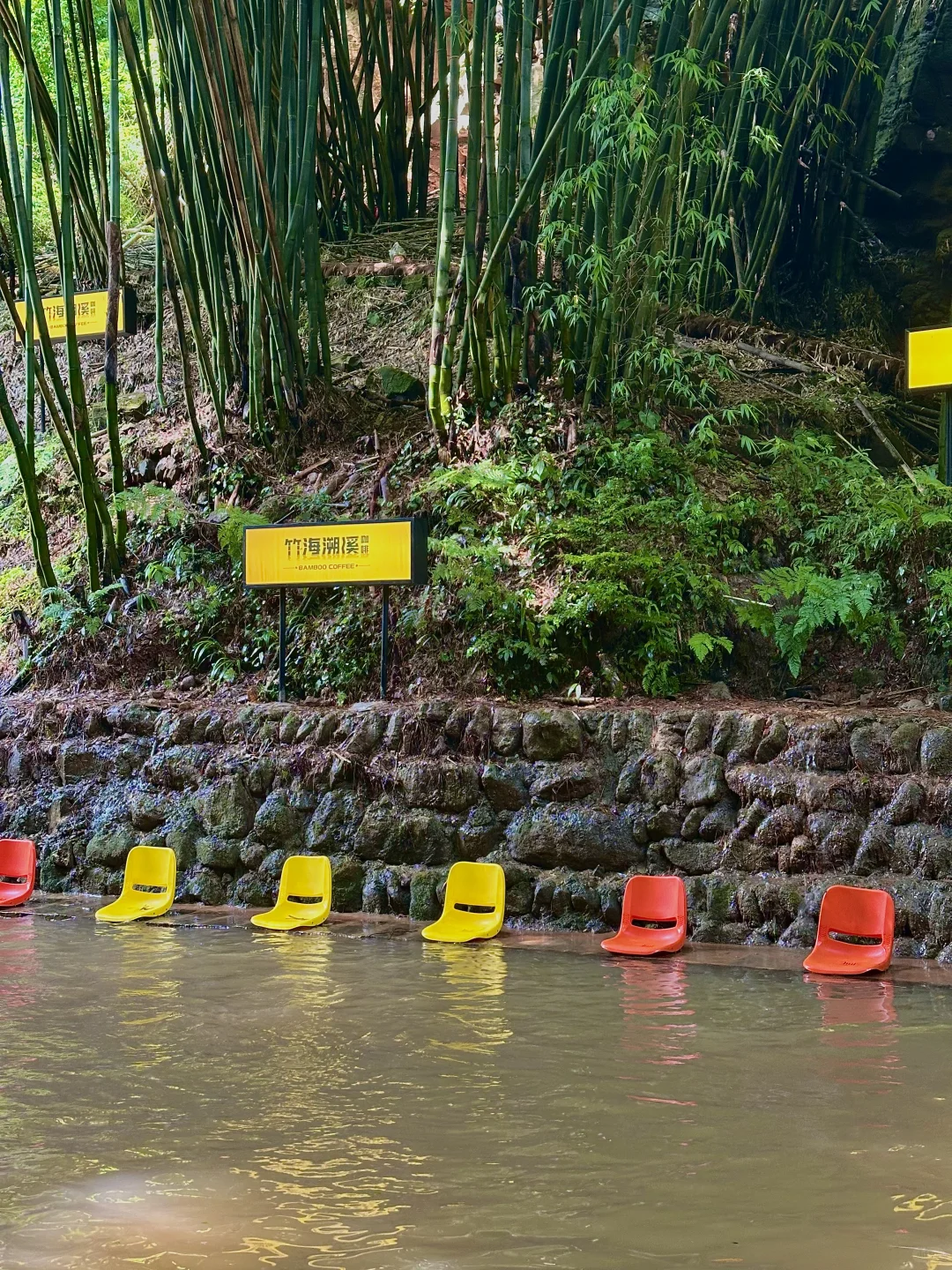 💨成都1h，带狗撒欢玩水的竹海秘境！