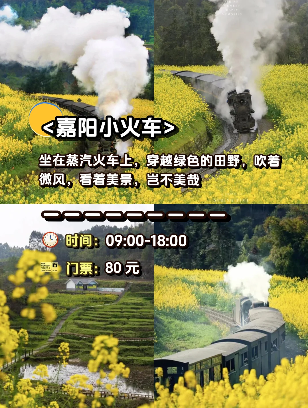 🌟乐山旅游攻略|这1️⃣0️⃣个景点一定要去‼️