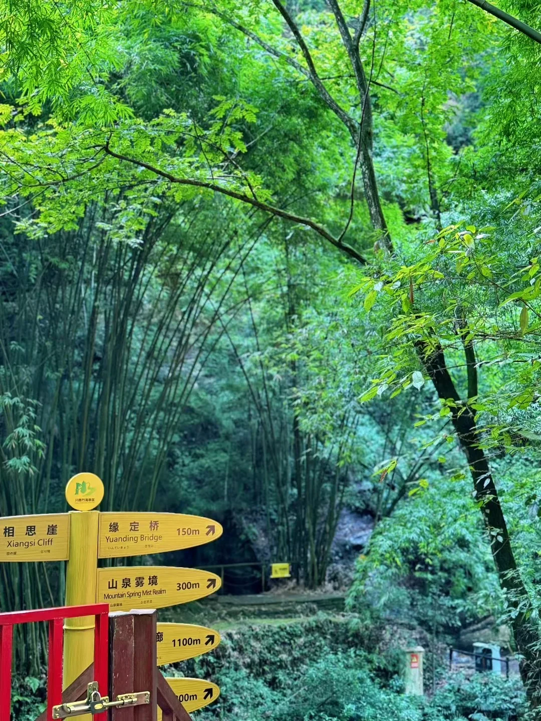 💨成都1h，带狗撒欢玩水的竹海秘境！