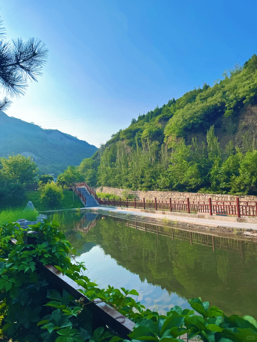 这么热的天，夜游蒙山避暑圣地，遛娃玩水绝啦