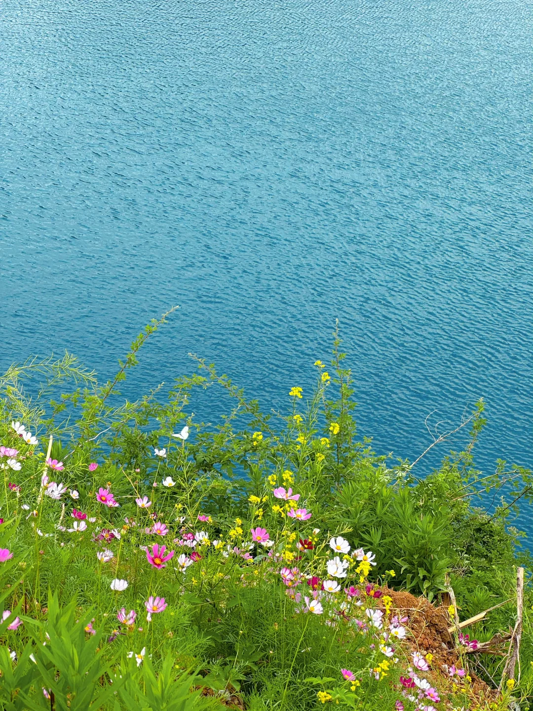 不是冰岛‼是江苏被严重低估的宝藏小城