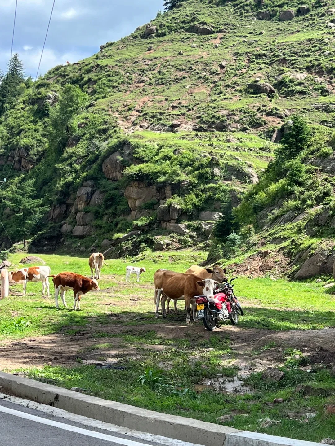 夏天的山西，是一个巨大的空调房