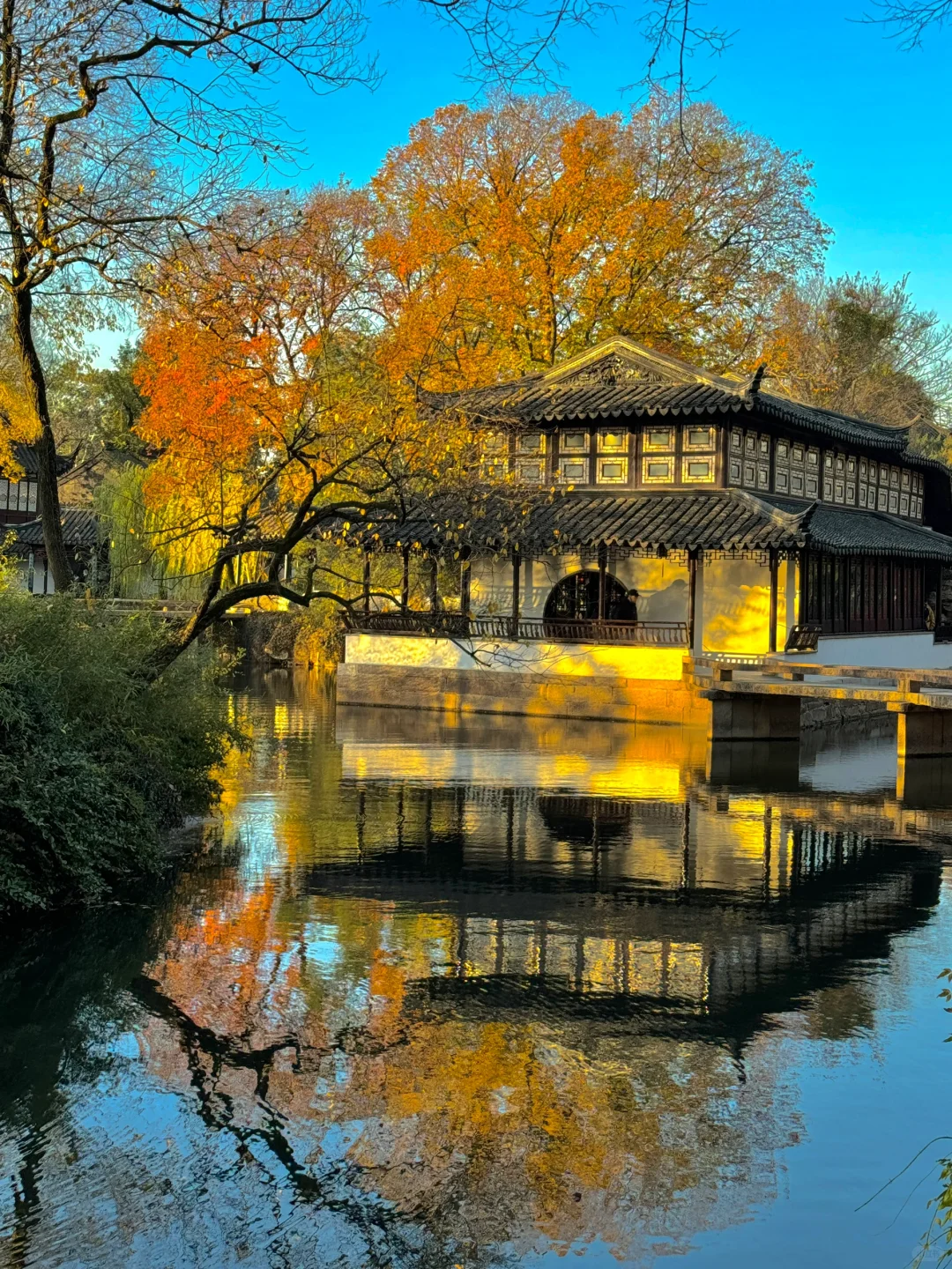 welcome to China|拙政园的封神Live