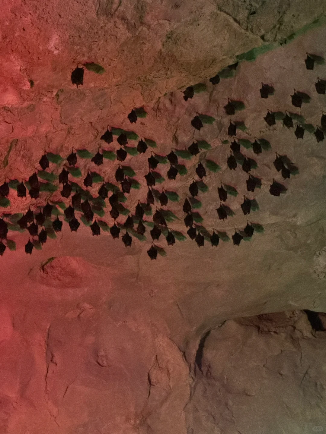 🚣石门仙湖｜闯地下暗河，遇现实版“桃花源”？！