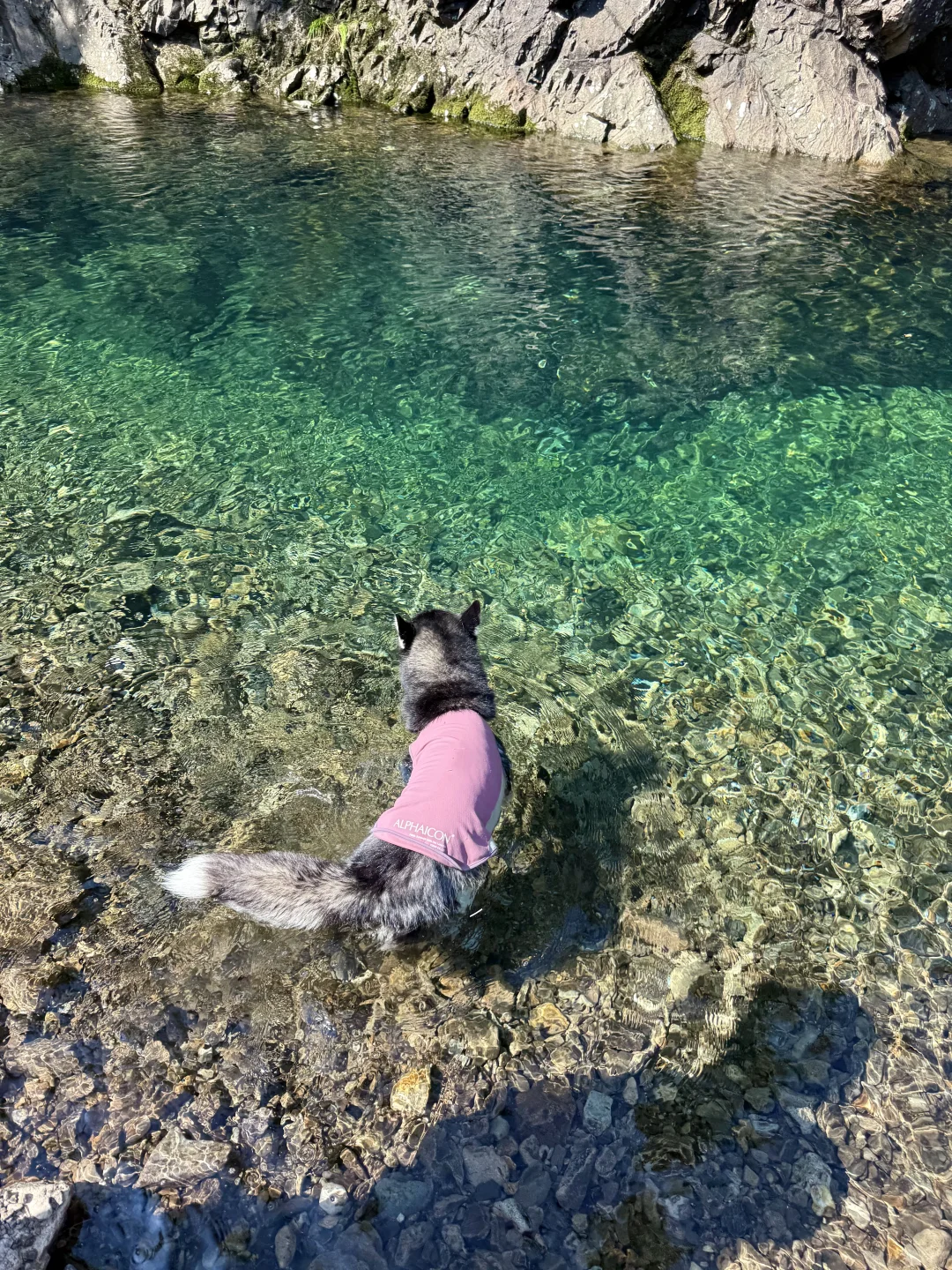 根本无法拒绝这么清透的玻璃水🥰