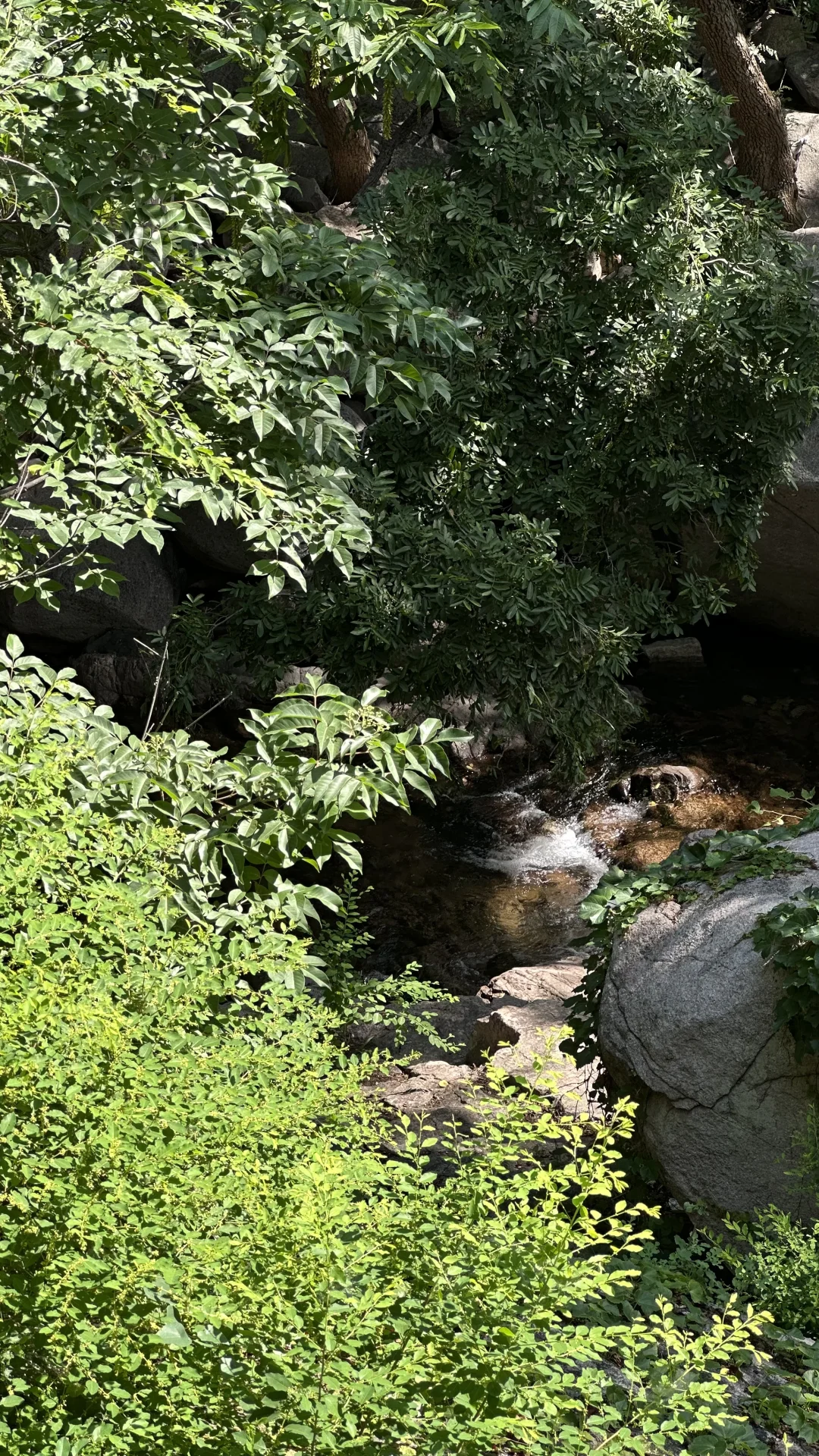 青岛夏天崂山玩水(无痛版)