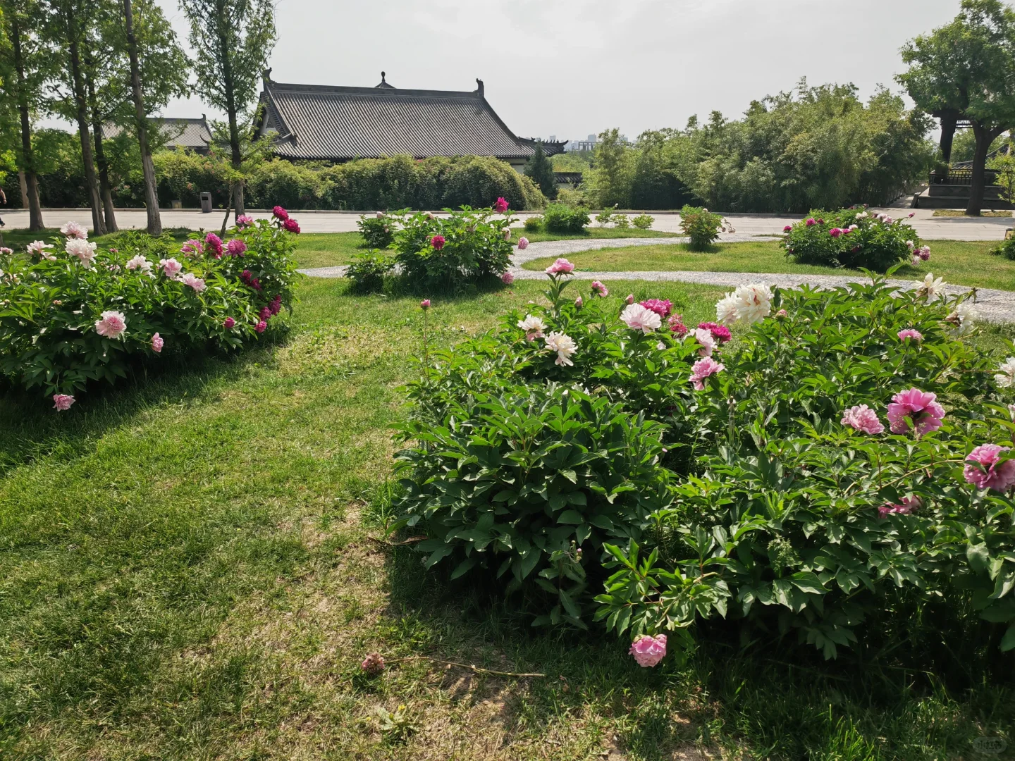 游览磁州水墨园,真的有点出乎意料了