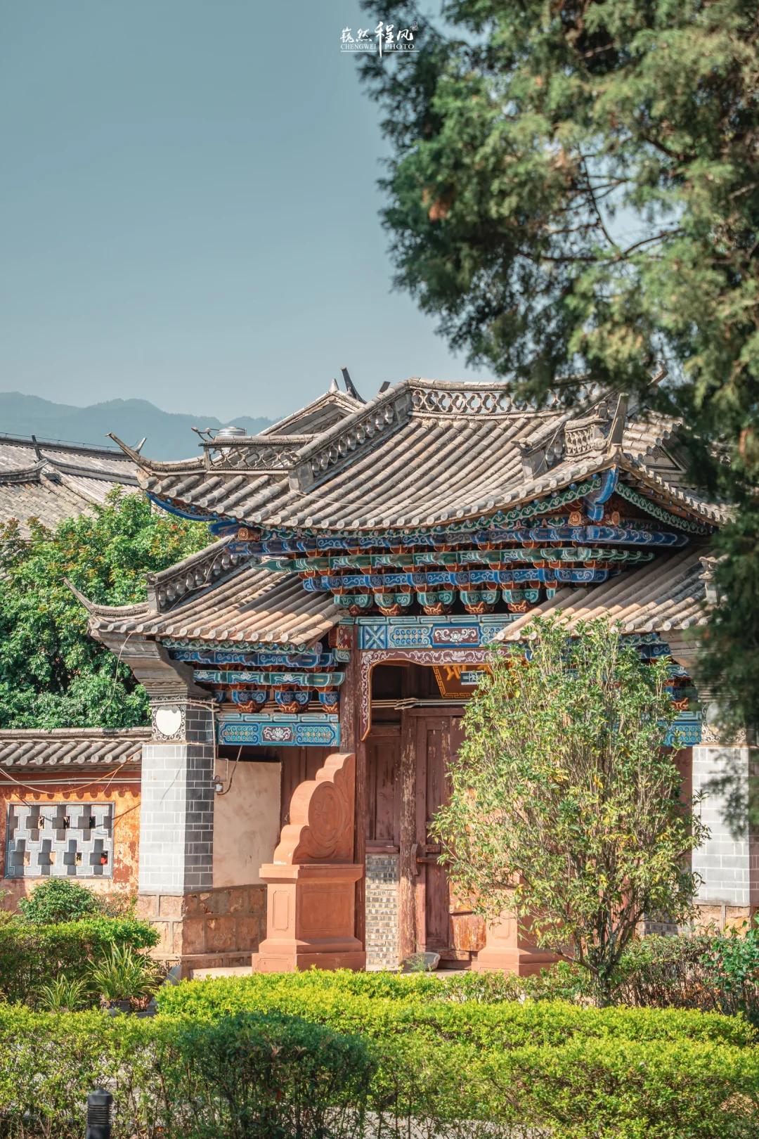 巍山古城 | 蓝花楹盛开下的百年文庙