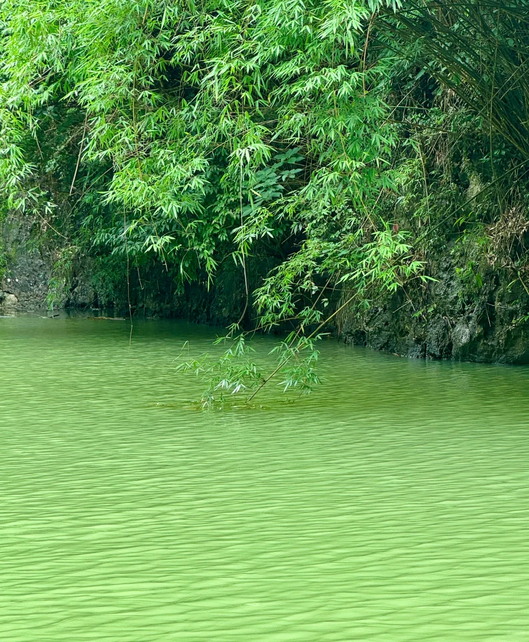 🚣石门仙湖｜闯地下暗河，遇现实版“桃花源”？！