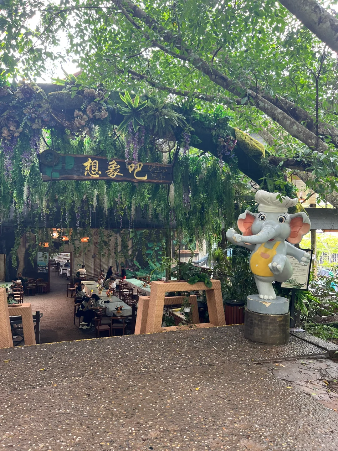 🐘西双版纳野象谷 | 看这一篇就够啦