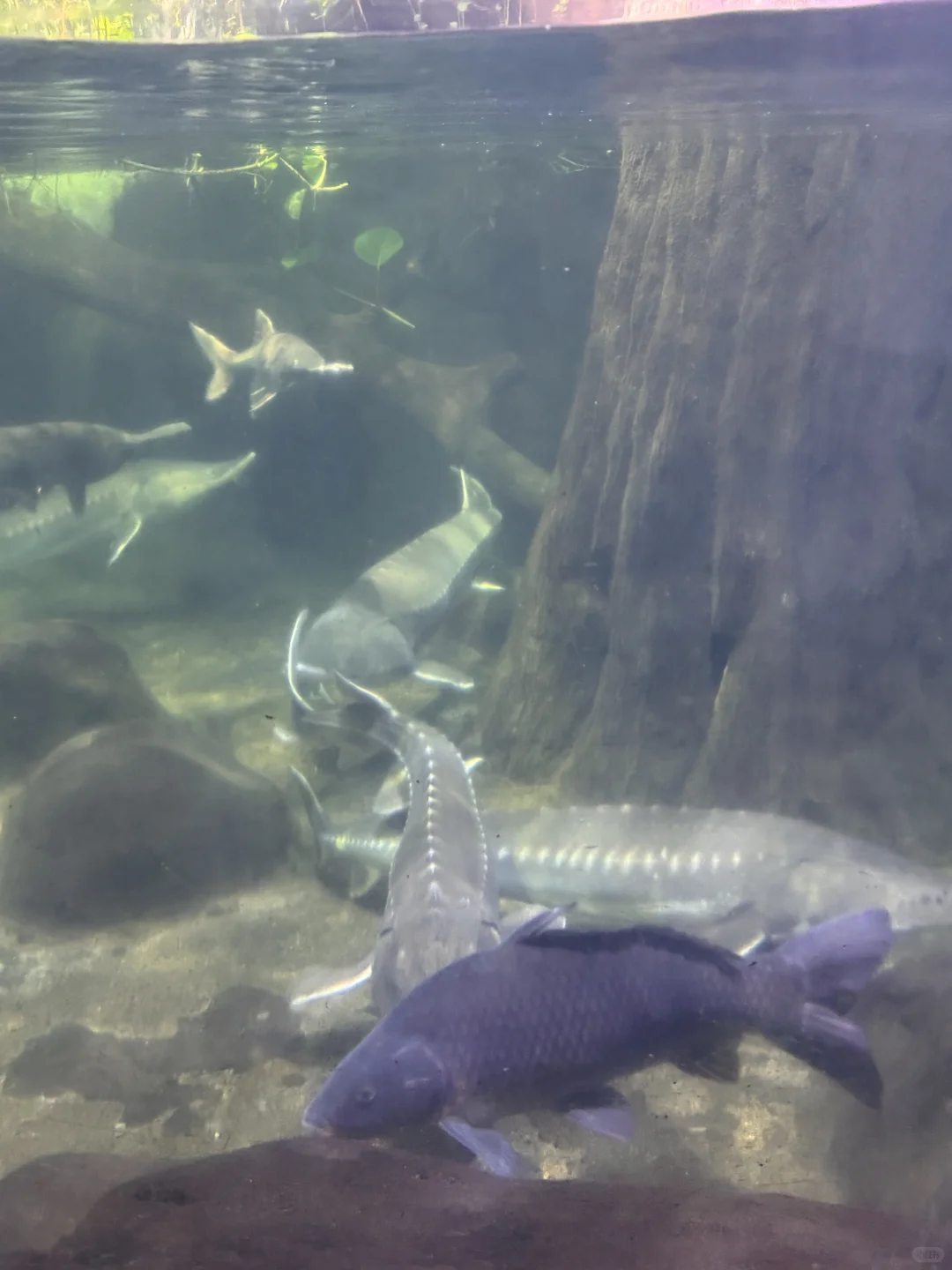 带娃旅游| 又点亮了一个城市🏙️