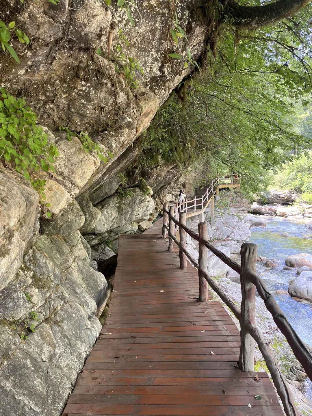 秦岭深处的夏日童话|大箭沟