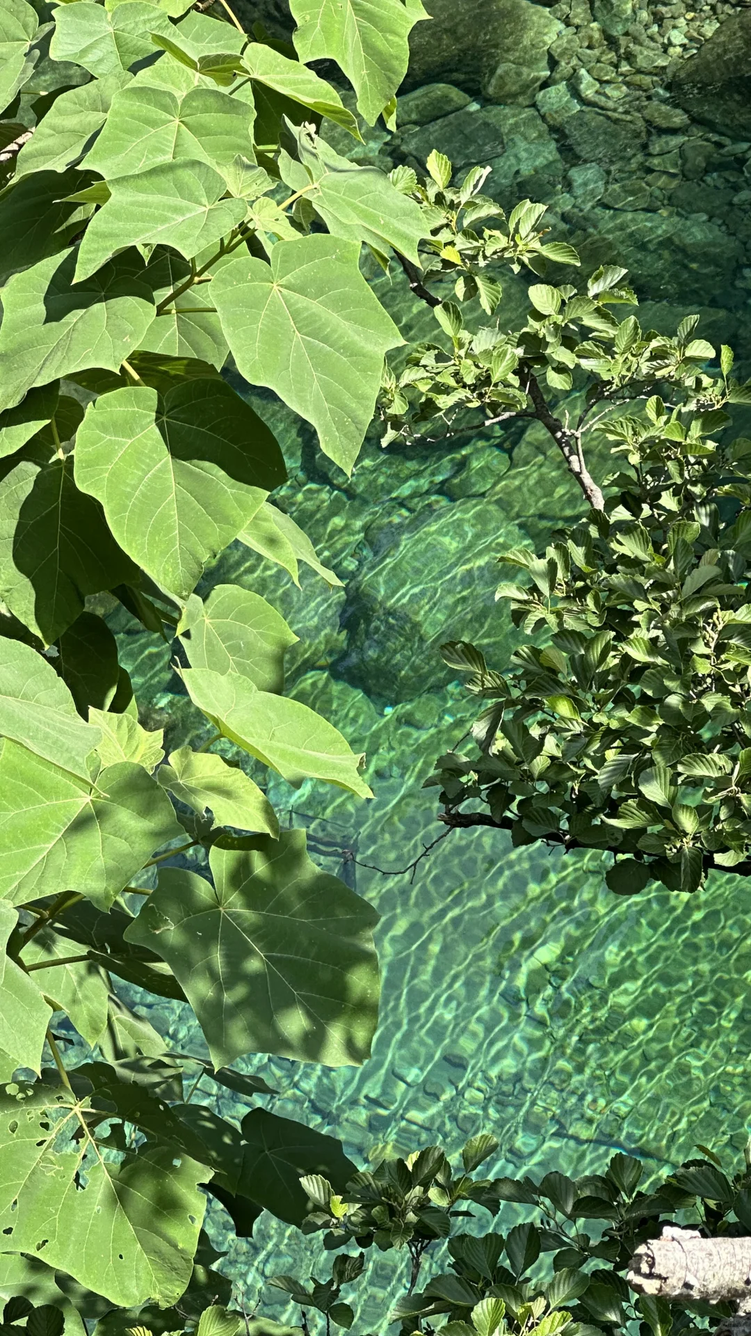 青岛夏天崂山玩水(无痛版)