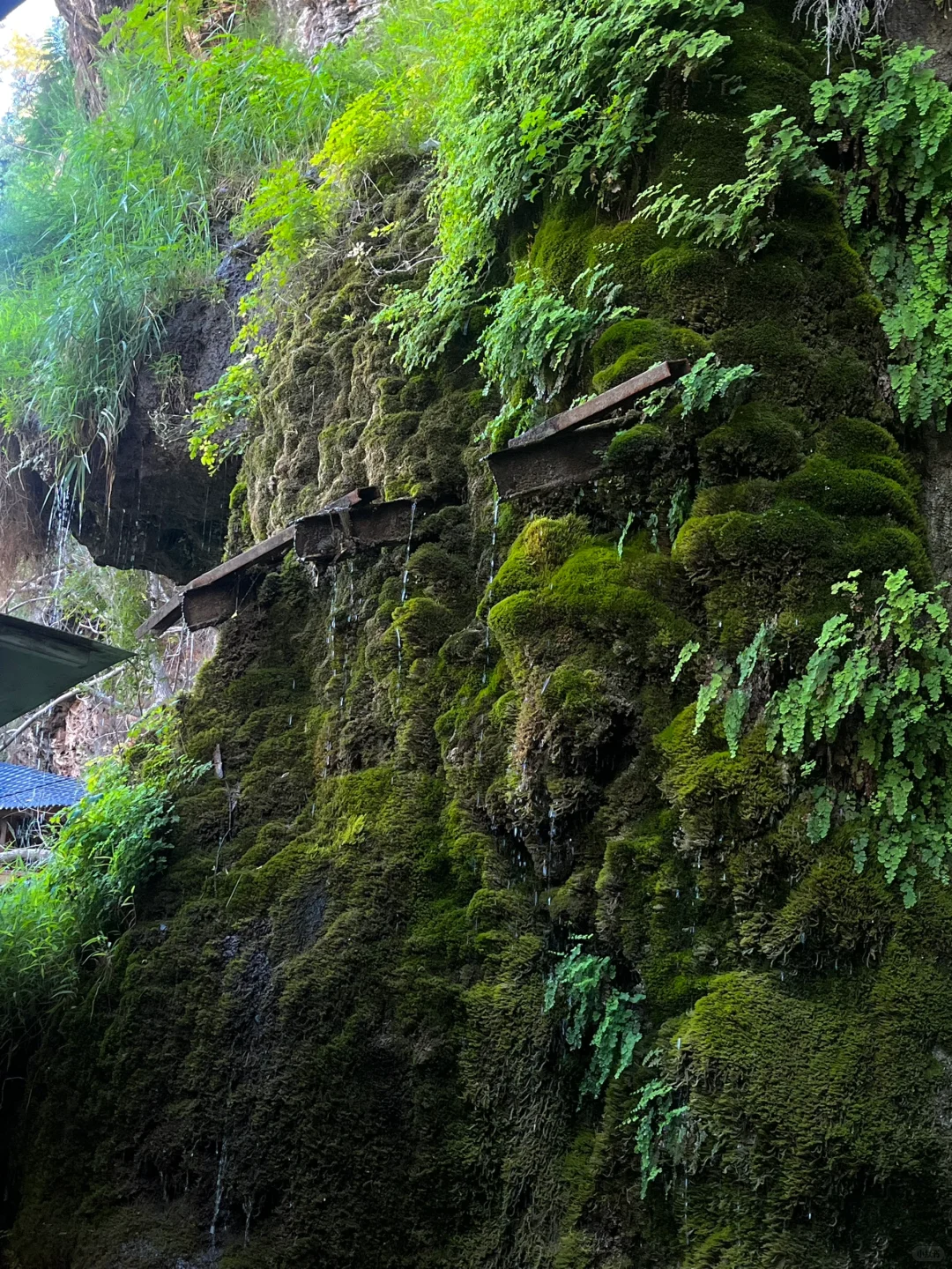 山西｜两天看遍罗马！长城！峡谷！红色文化