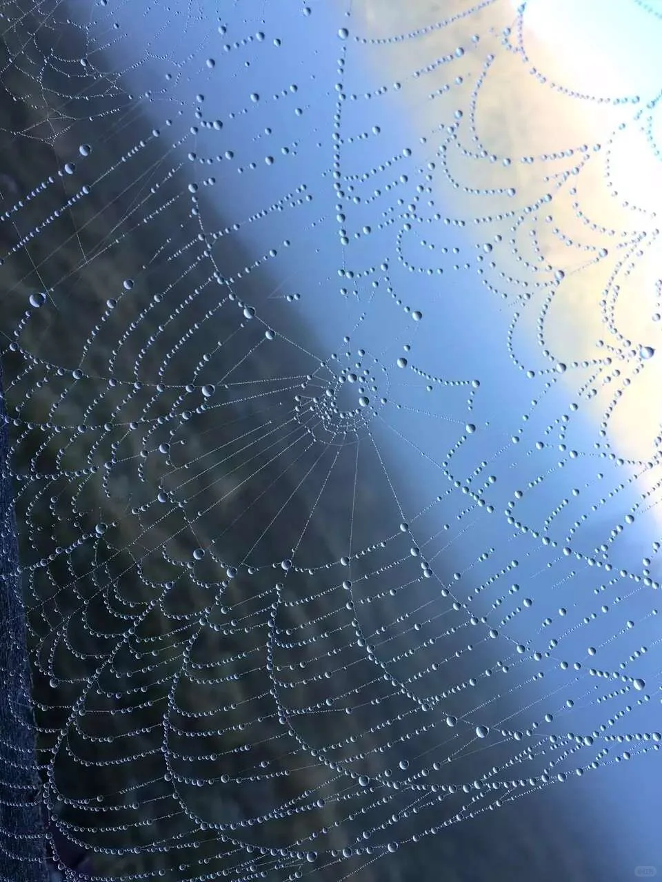 🚗新疆北疆环线10天自驾攻略 |阿勒泰-伊犁