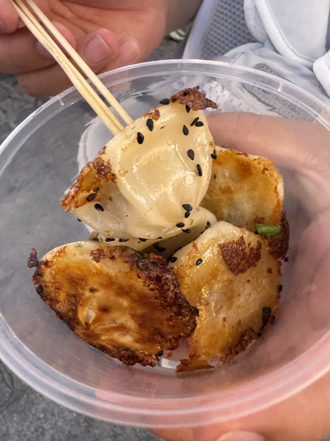 带娃旅游| 又点亮了一个城市🏙️