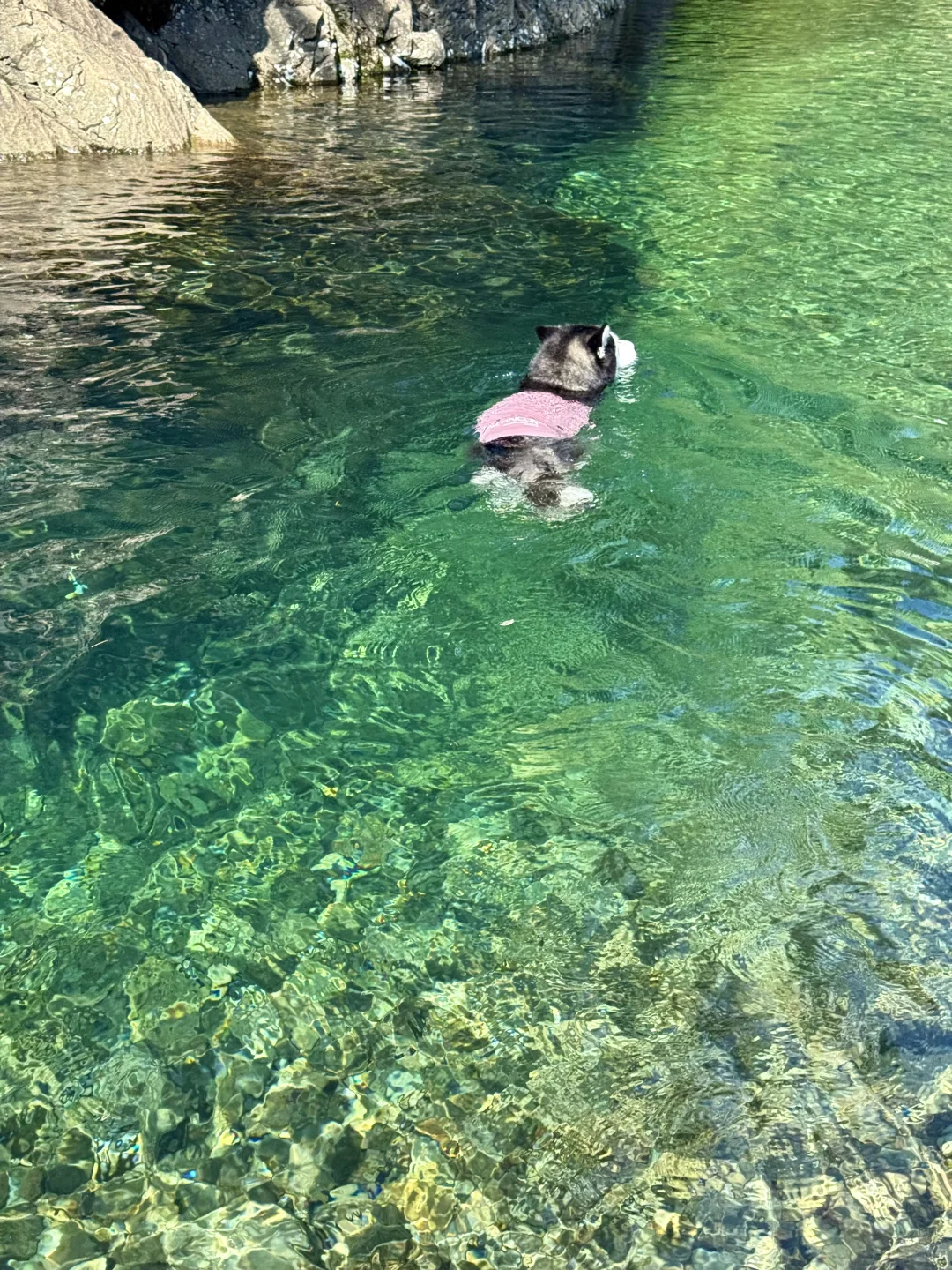 根本无法拒绝这么清透的玻璃水🥰