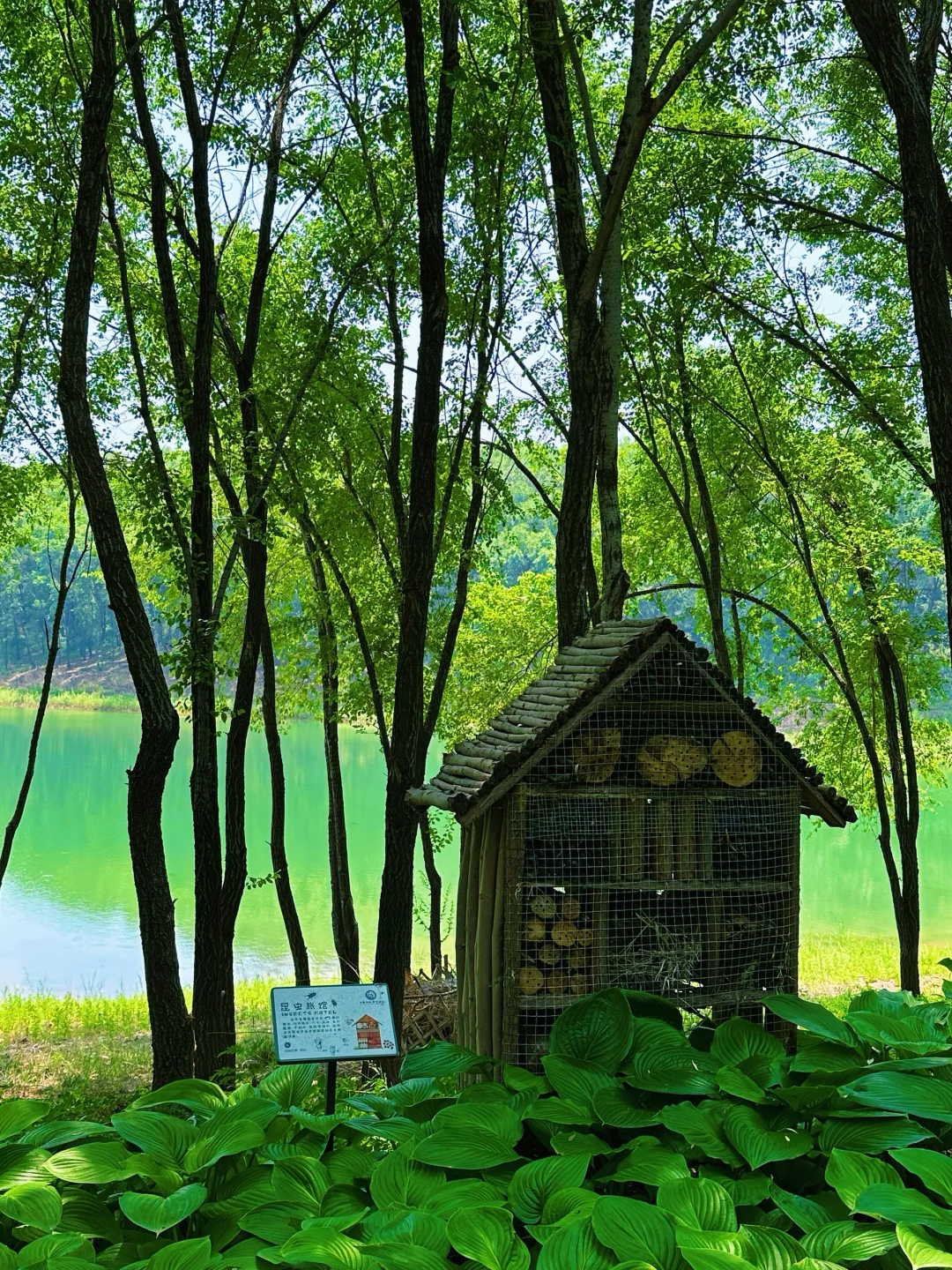 在北京！夏日绿野仙踪CityWalk路线！附攻略