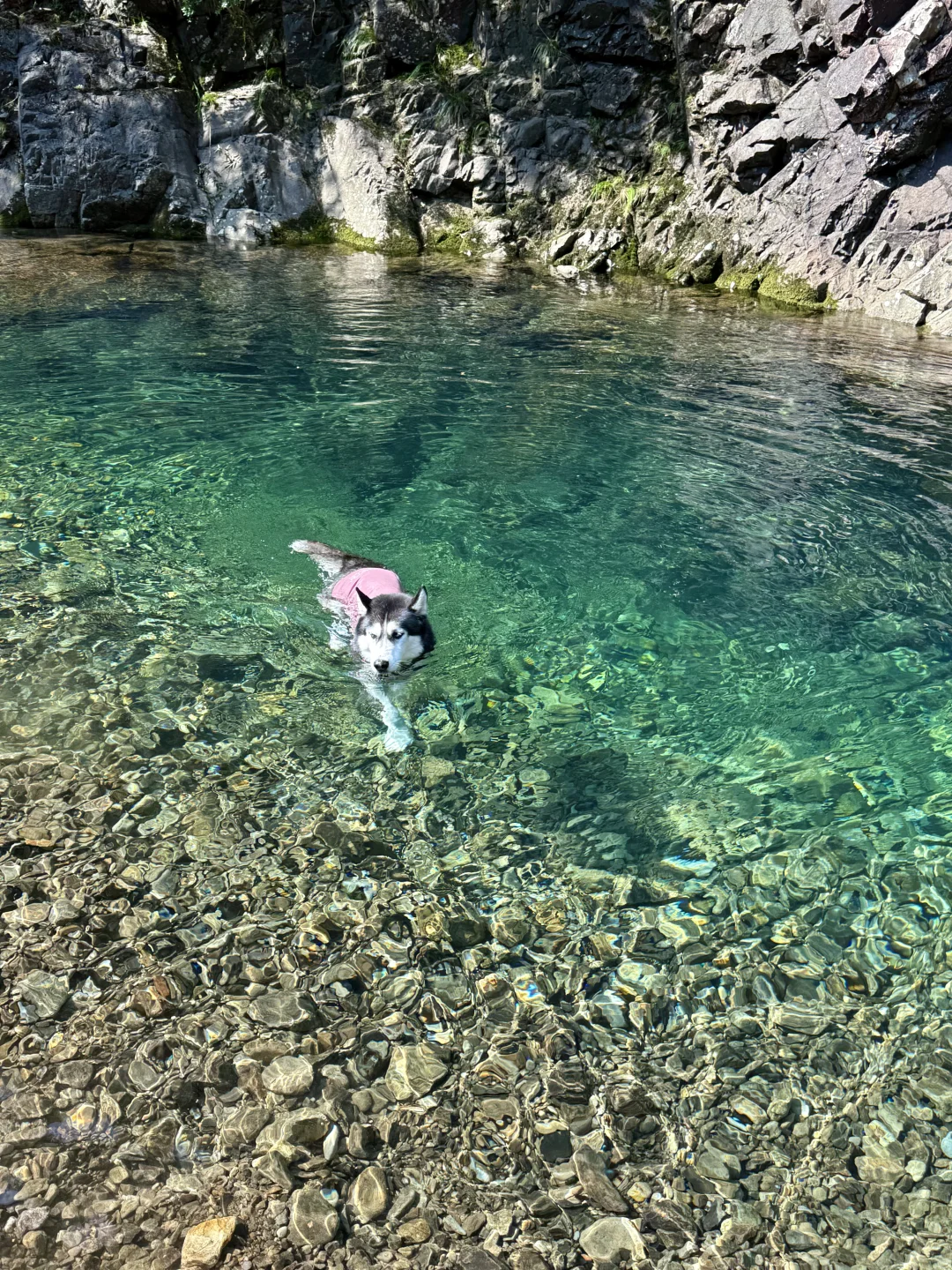 根本无法拒绝这么清透的玻璃水🥰