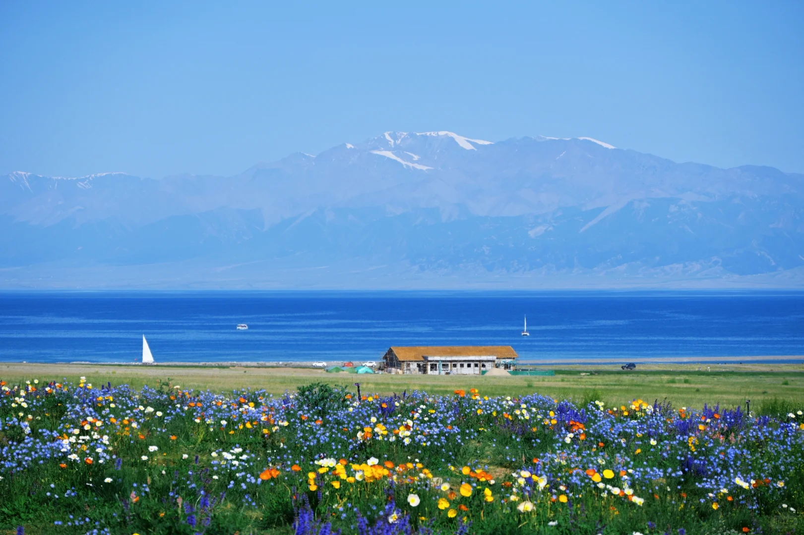 生命的原点——赛里木湖