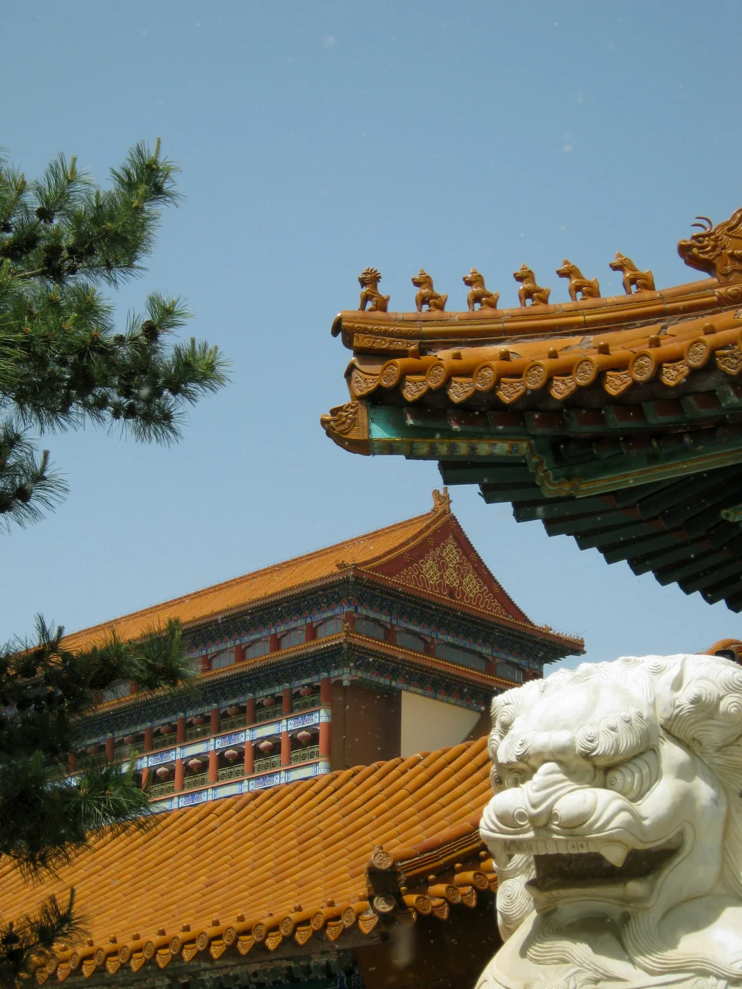 这不是北京 也不是沈阳