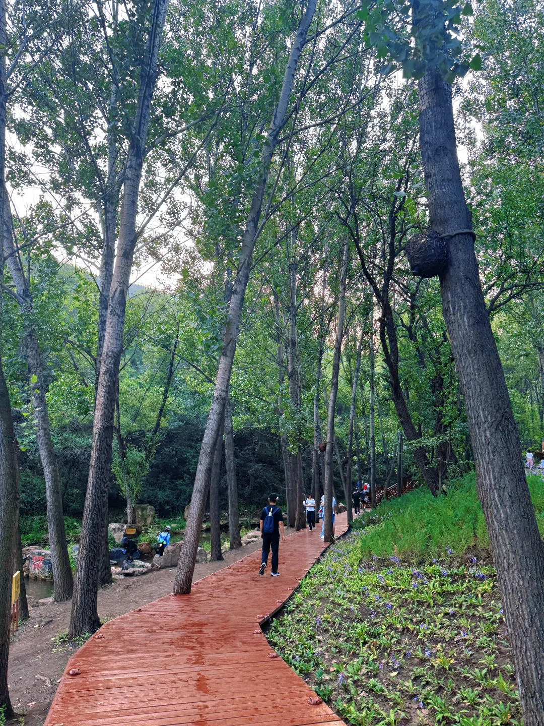 这么热的天，夜游蒙山避暑圣地，遛娃玩水绝啦
